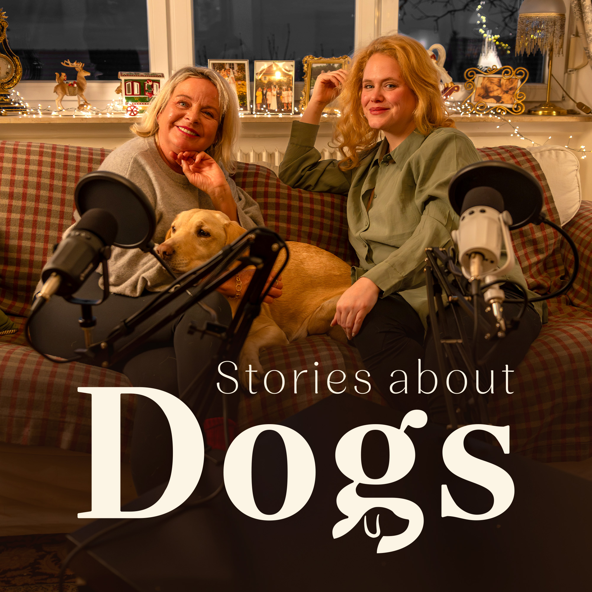 Stories about Dogs by Julia Birk podcast artwork