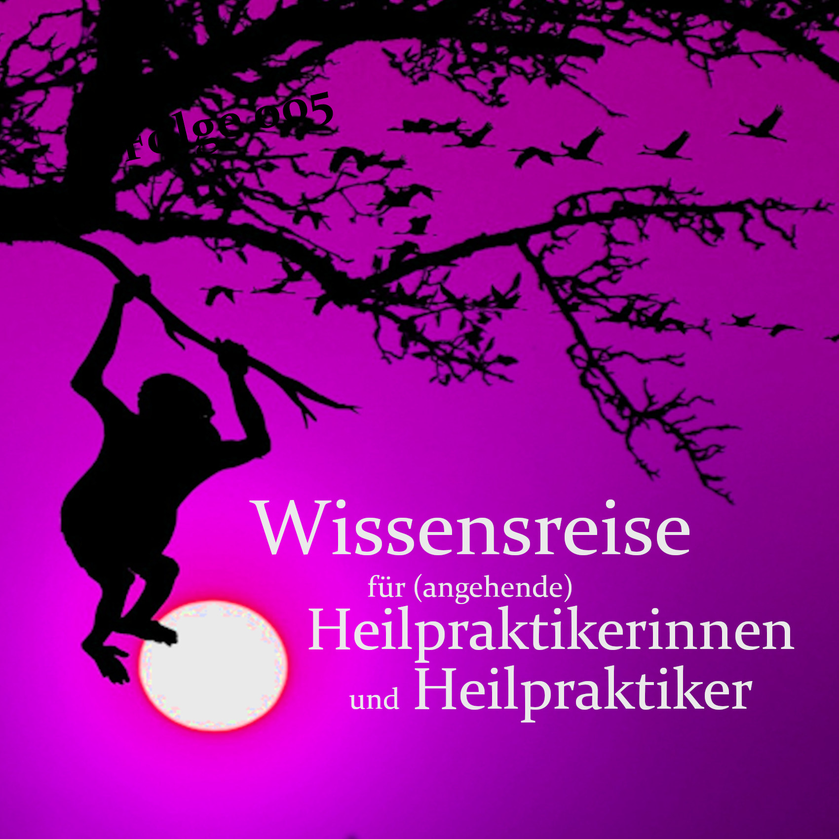 Wissensreise für (angehende) Heilpraktikerinnen und Heilpraktiker
