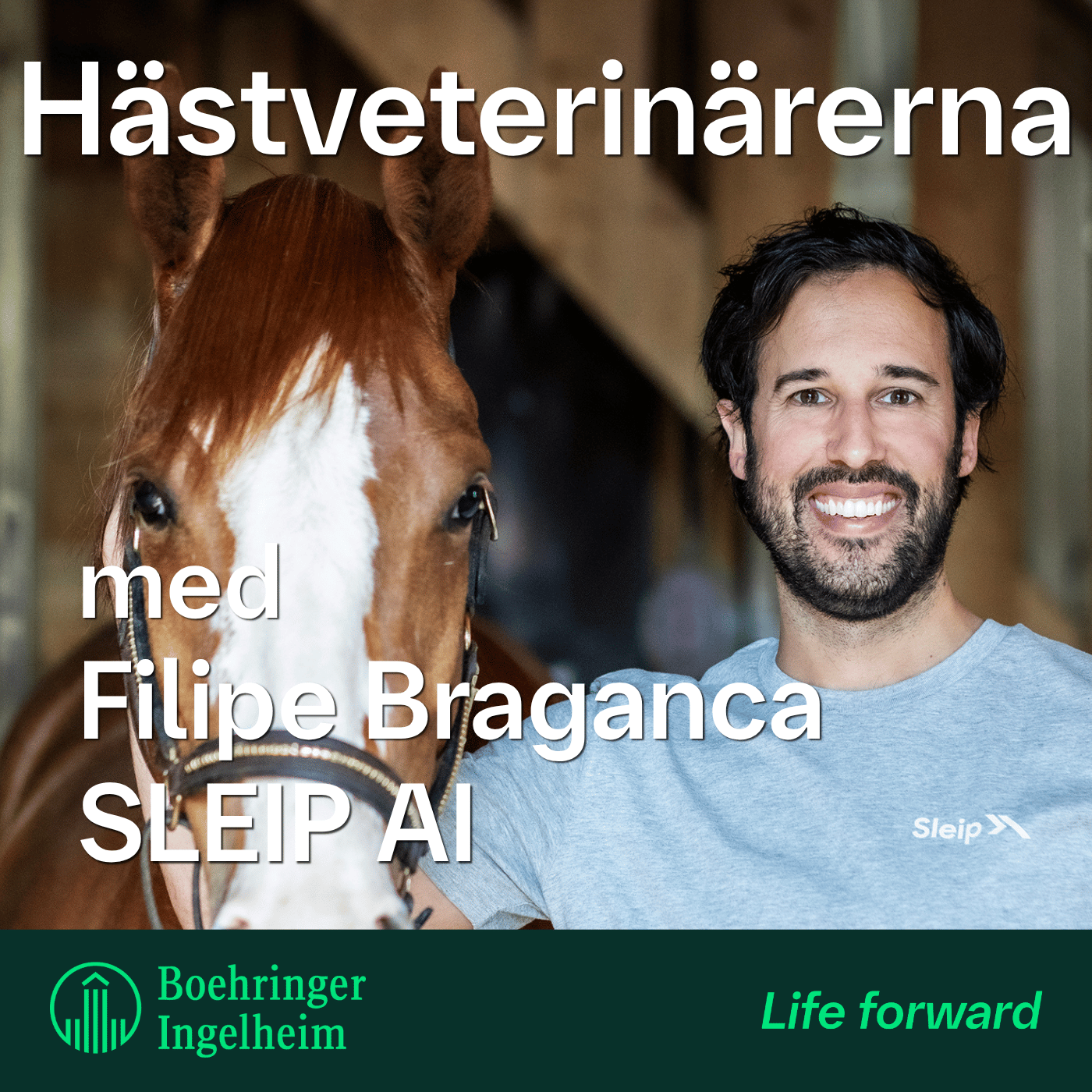 Hästveterinärerna