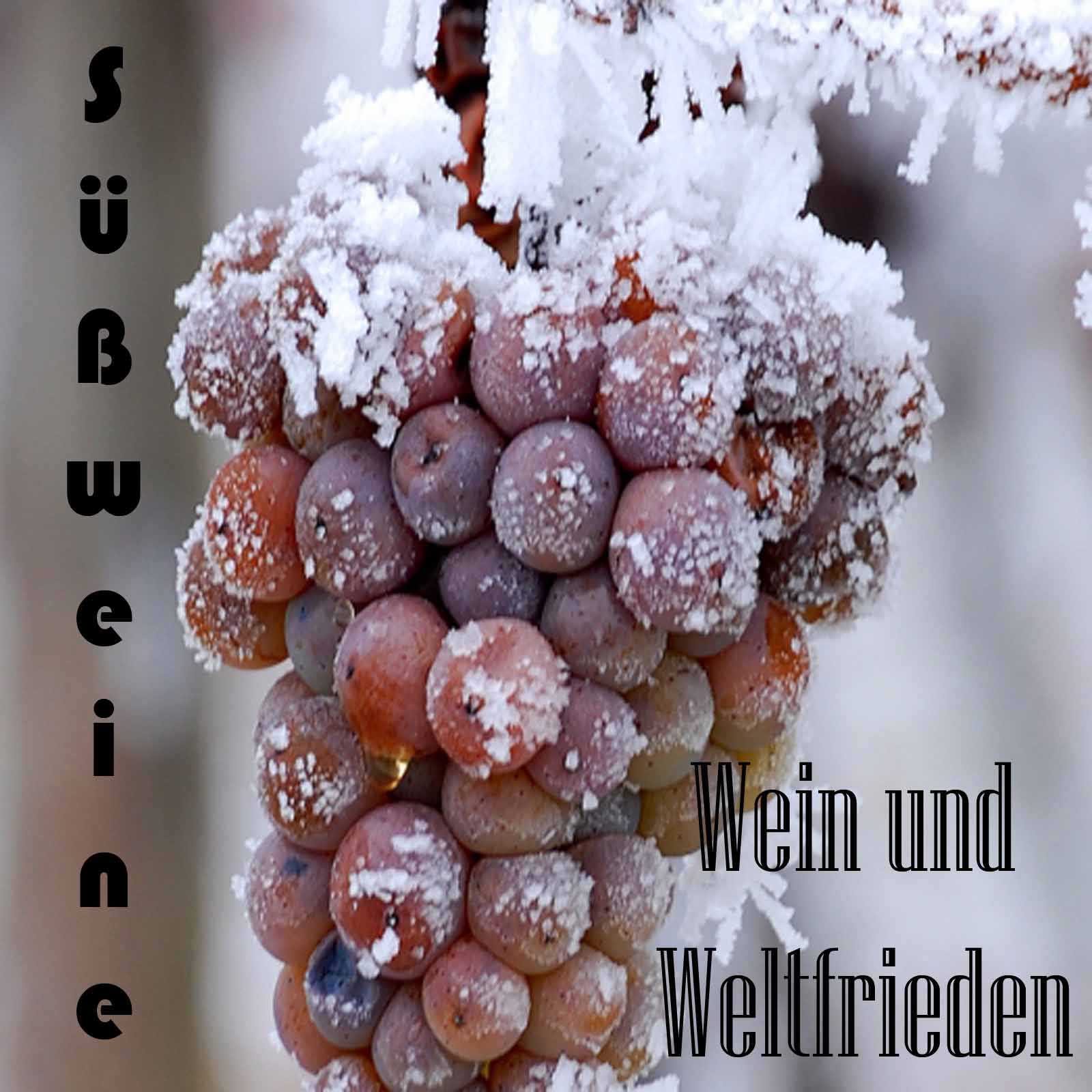 Wein und Weltfrieden