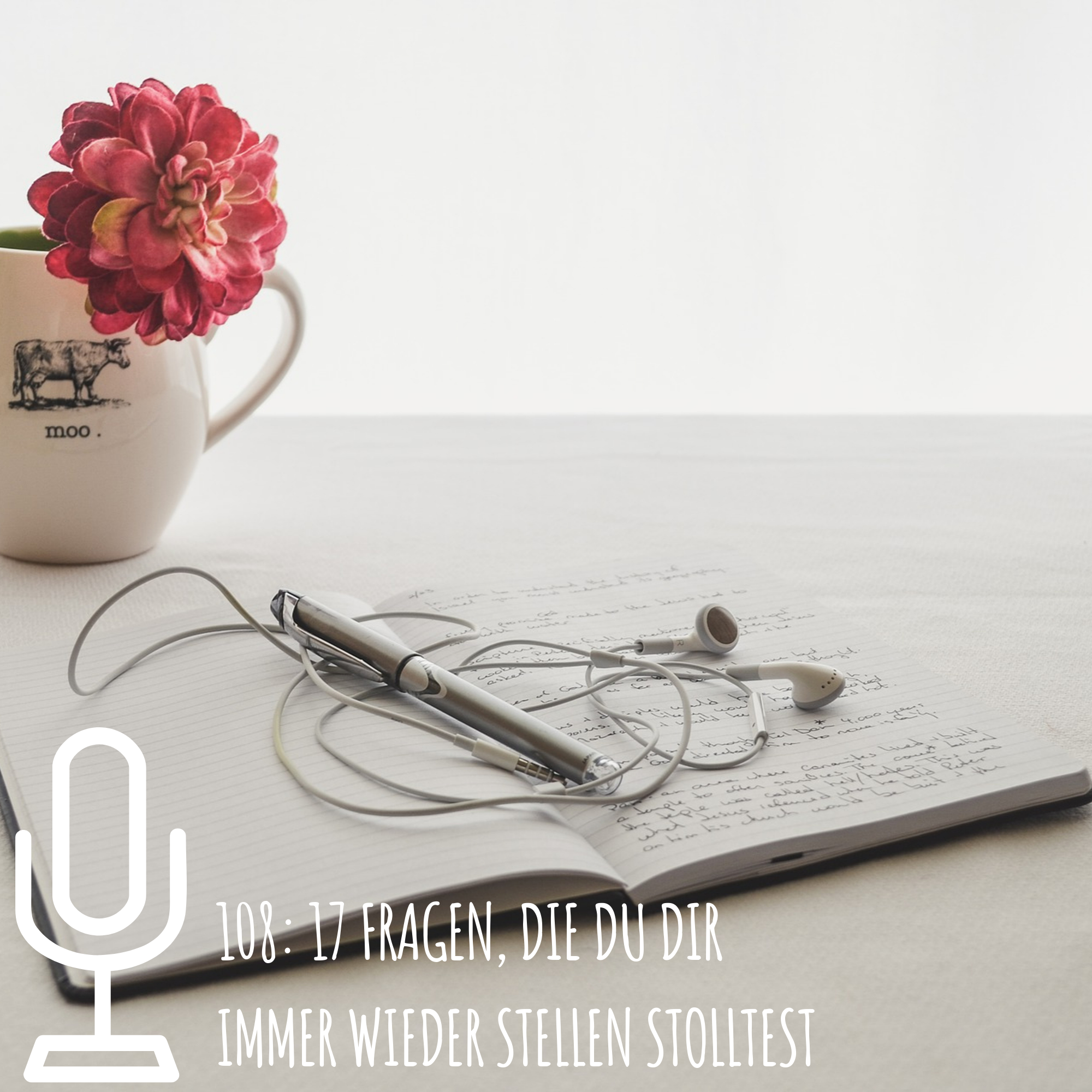 108: 17 Fragen, die du dir immer wieder stellen solltest episode artwork
