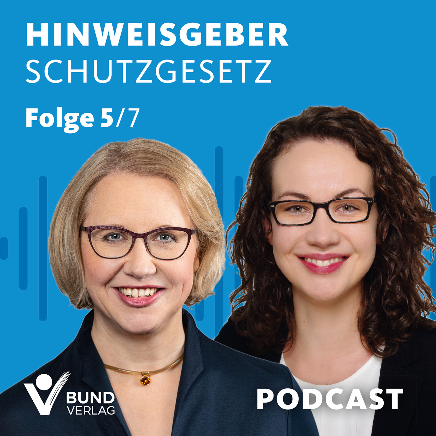 Das Hinweisgeberschutzgesetz: Folge 5 episode artwork