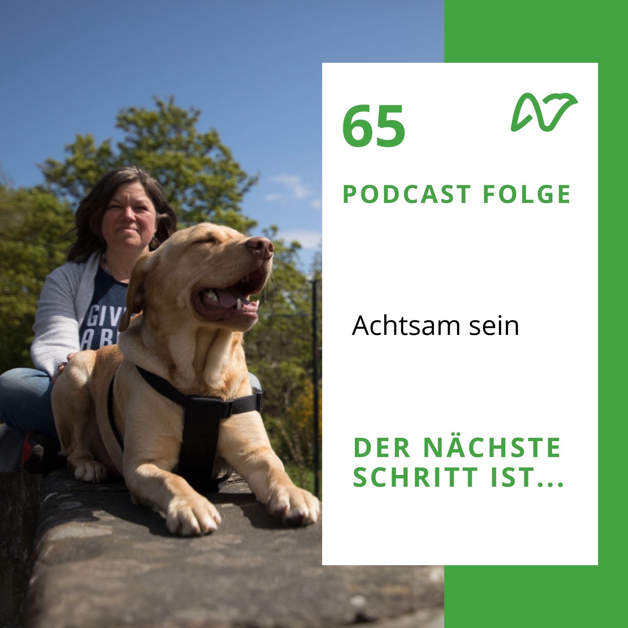 Andrea Brandt - Der nächste Schritt ist... das WAGNIS ABENTEUER LEBEN