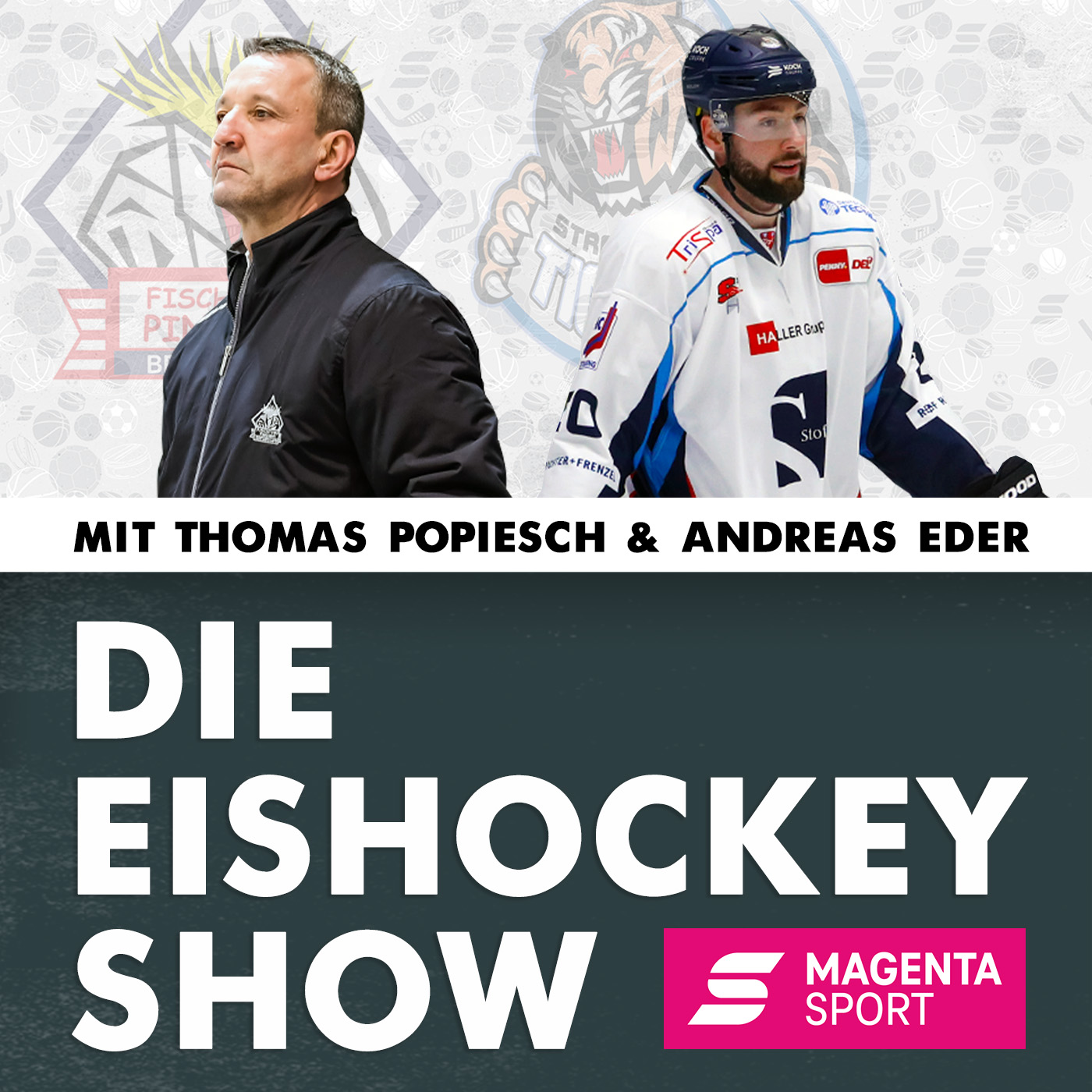 Die Eishockey Show