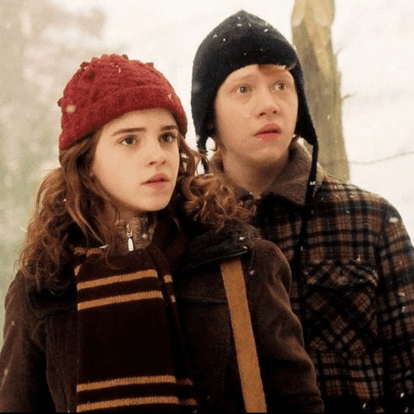 GANZES HÖRBUCH! Die Weasleys warten auf Weihnachten - Harry Potter FanFiktion