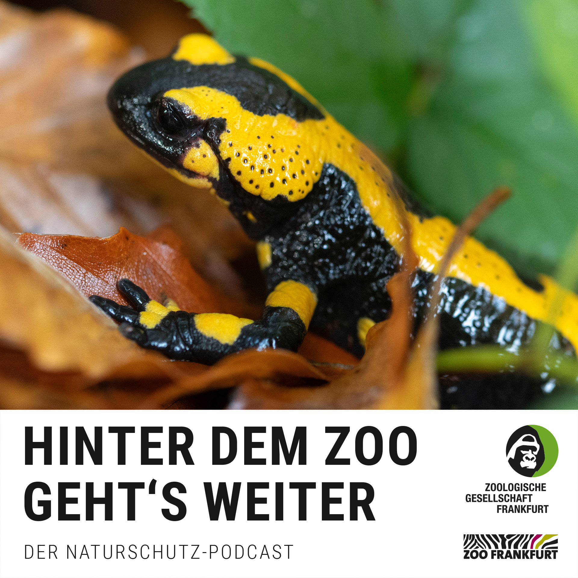 Citizen Conservation: Gemeinsam Arten schützen