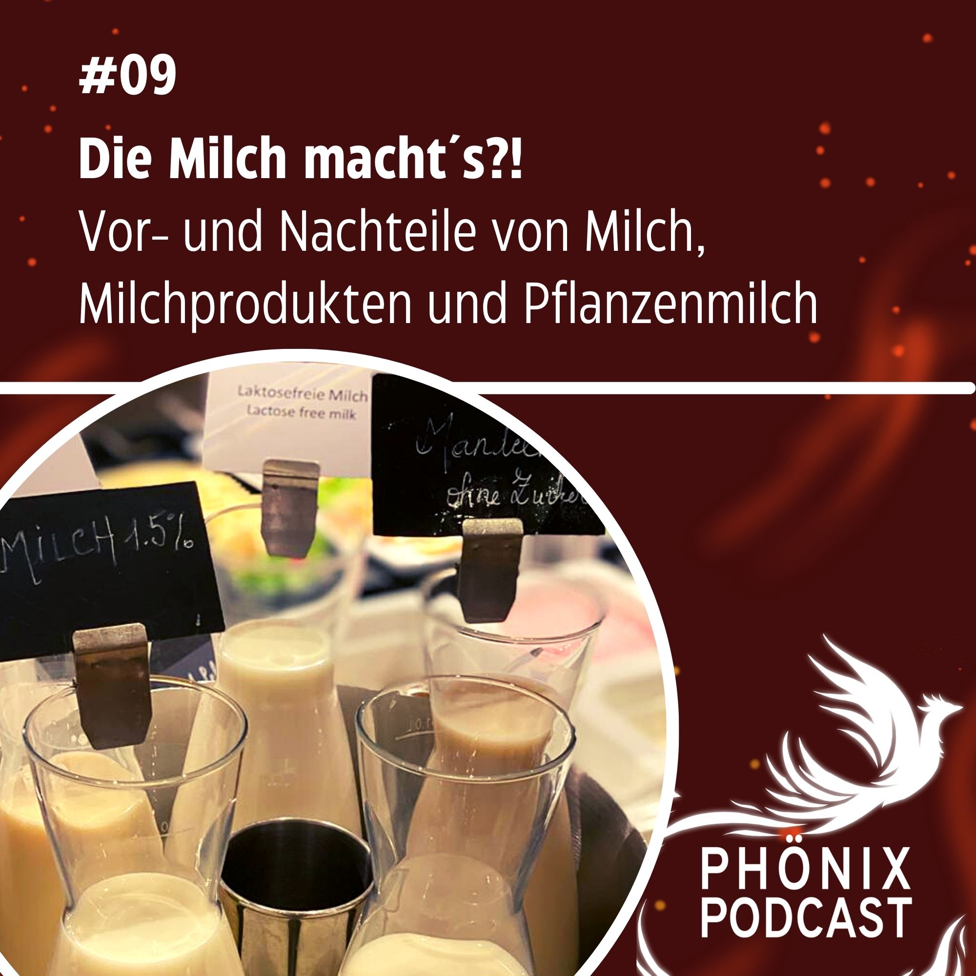 Die Milch macht´s?! Vor- und Nachteile von Milch, Milchprodukten und Pflanzenmilch #09 - podcast episode cover