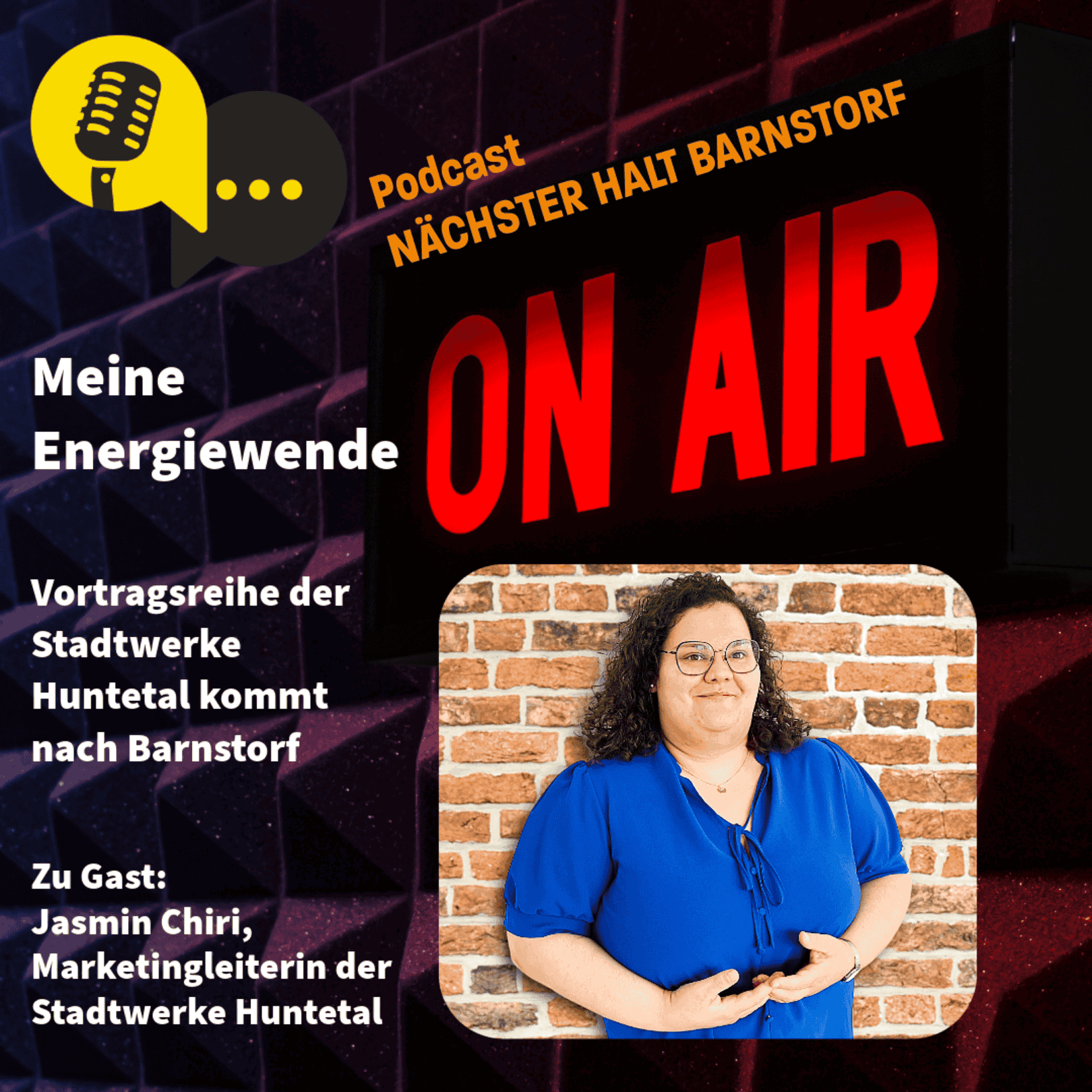 Folge 77: Meine Energiewende - Vortragsreihe der Stadtwerke Huntetal kommt nach Barnstorf episode artwork