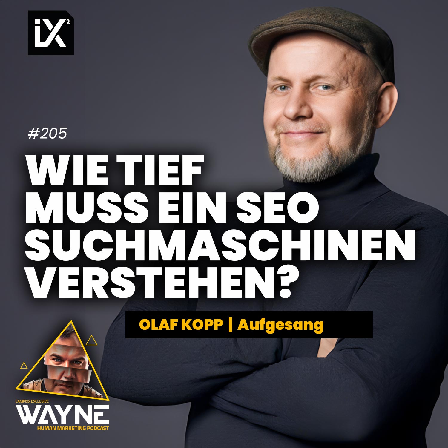 Wie tief muss ein SEO Suchmaschinen verstehen? | Olaf Kopp | WAYNE #205