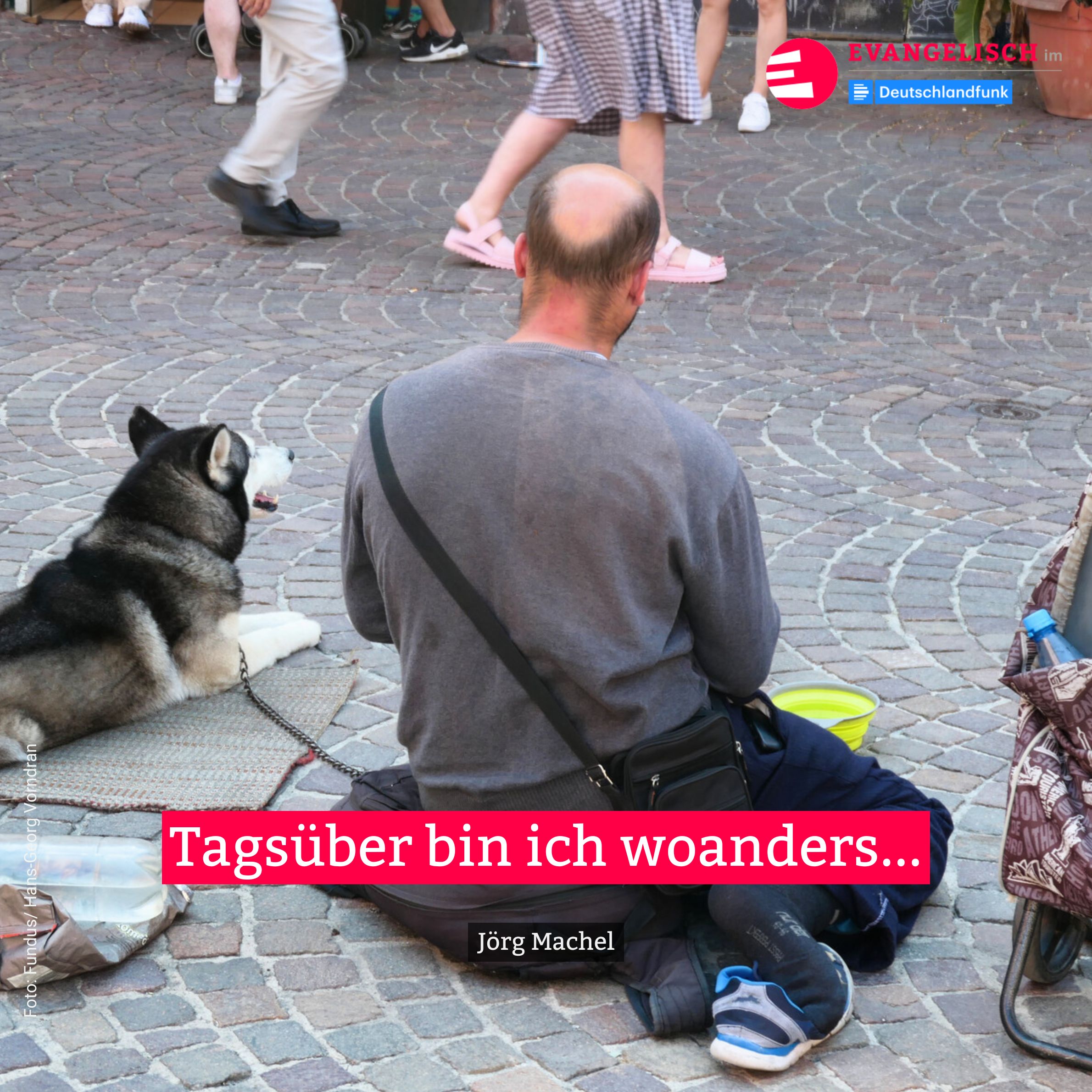 Tagsüber bin ich woanders episode artwork