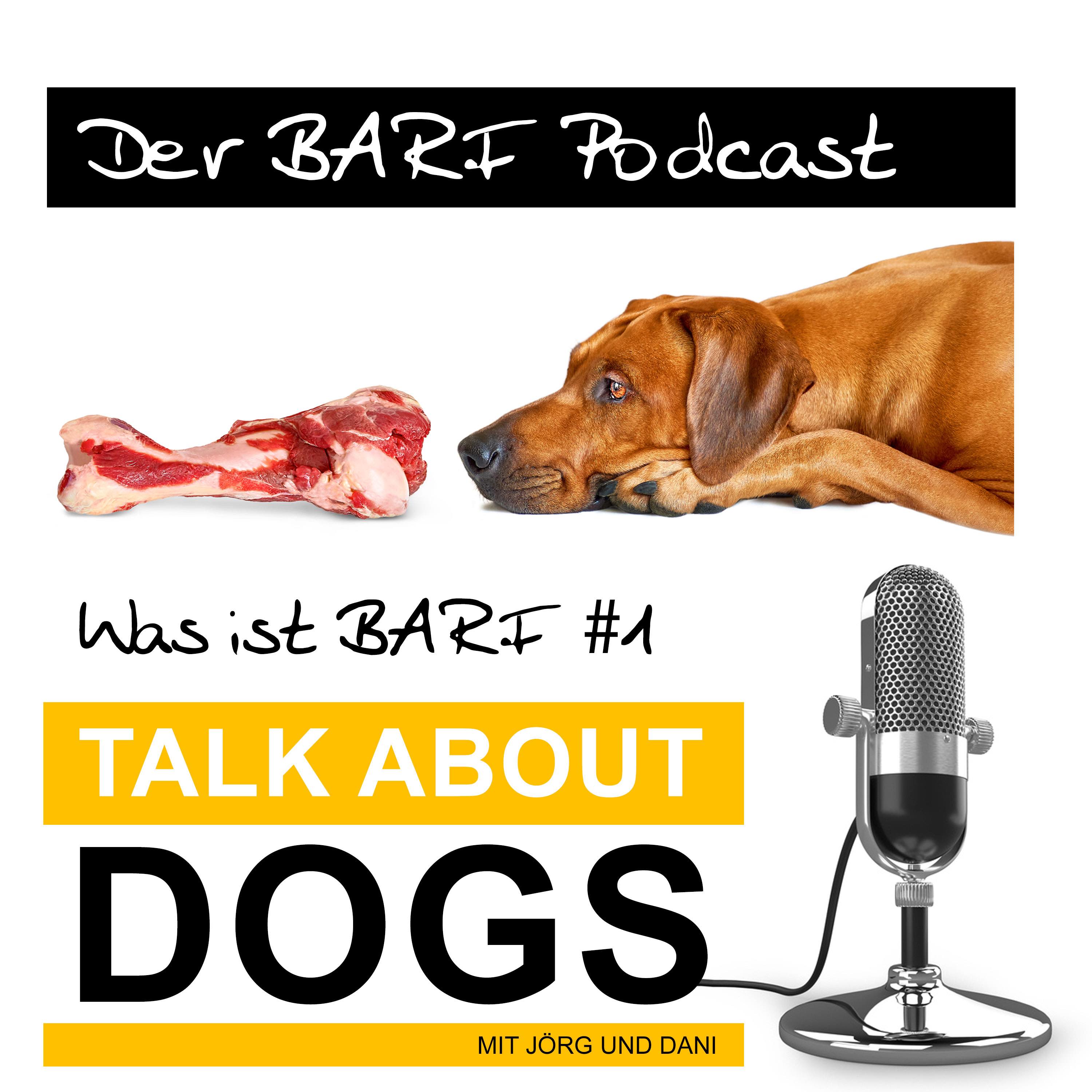 TALK ABOUT DOGS