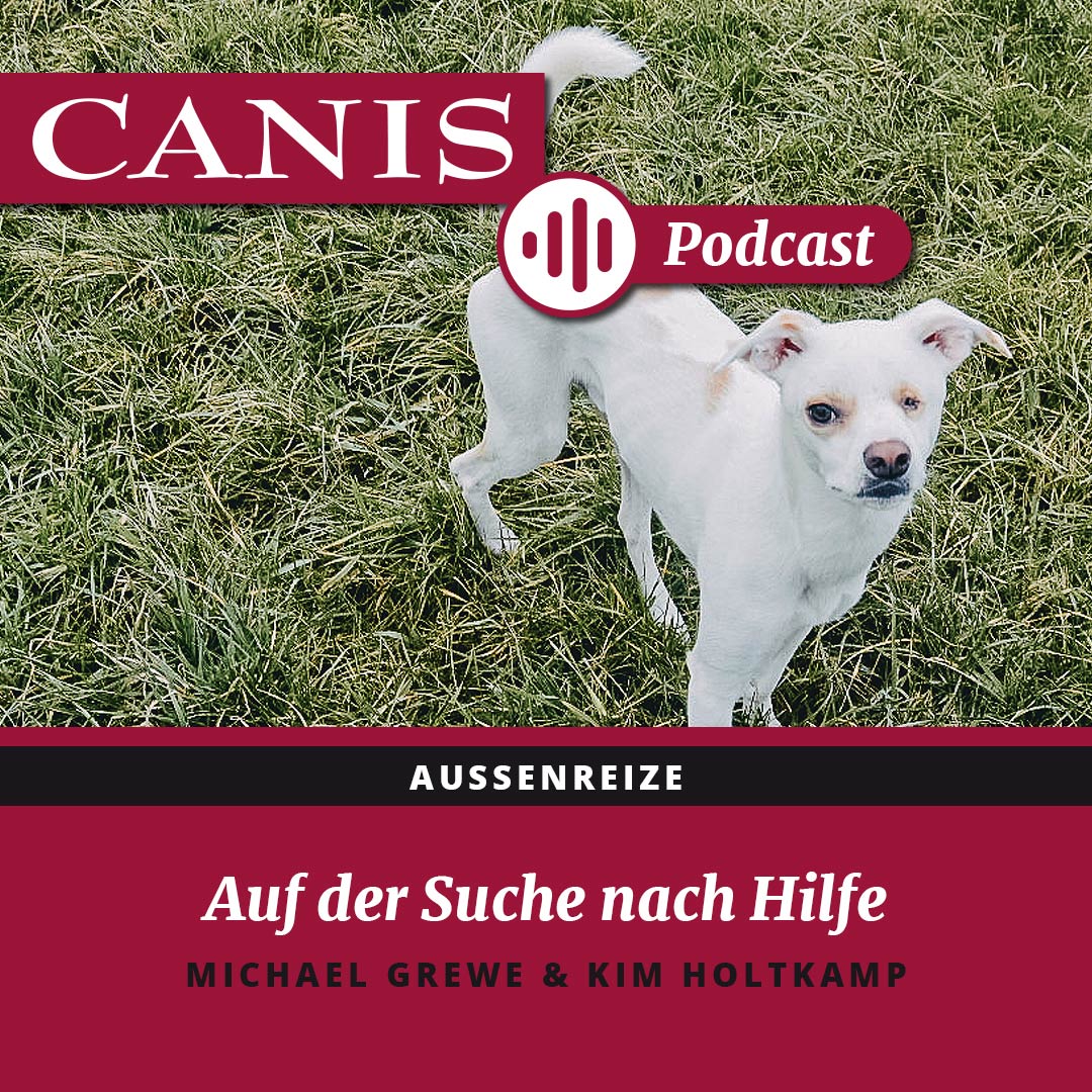 Der CANIS-Podcast – Hundeexpert:innen ausgefragt