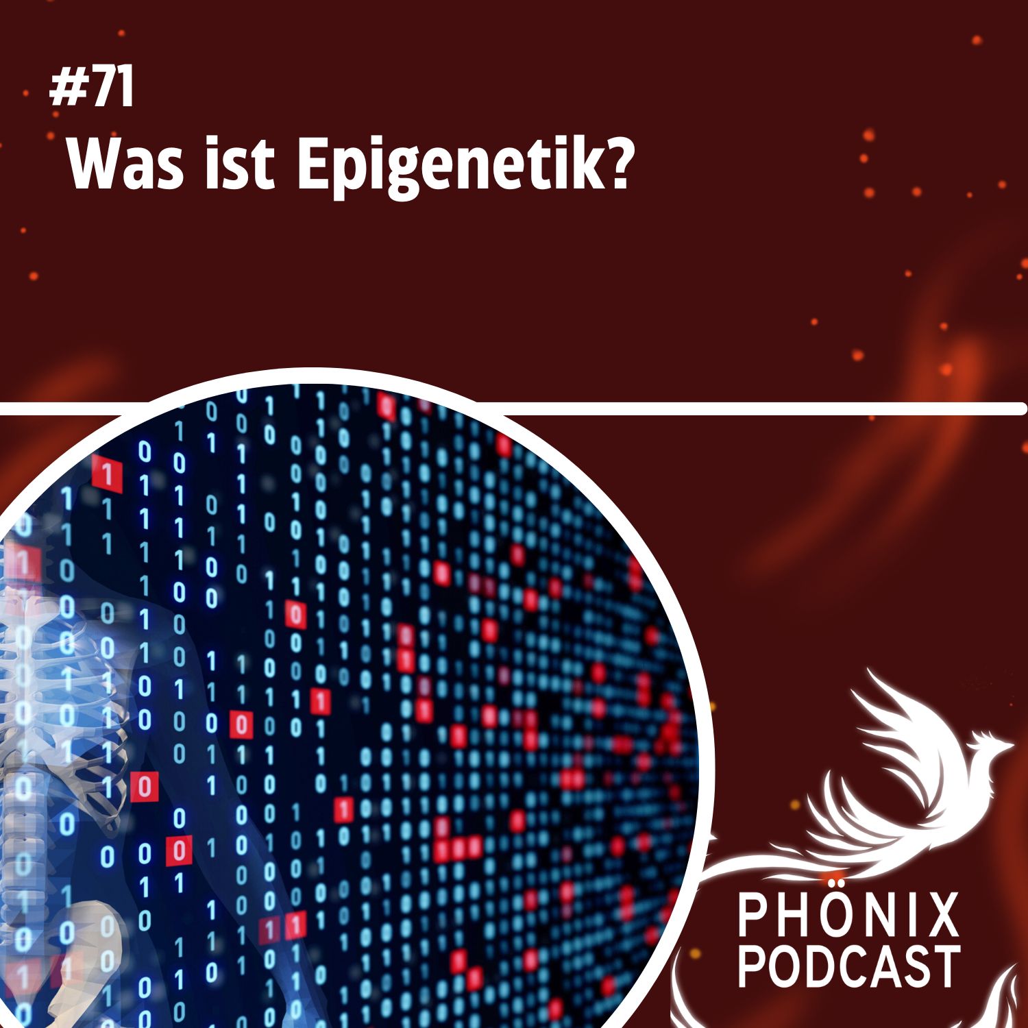 Was ist Epigenetik? #71 - podcast episode cover