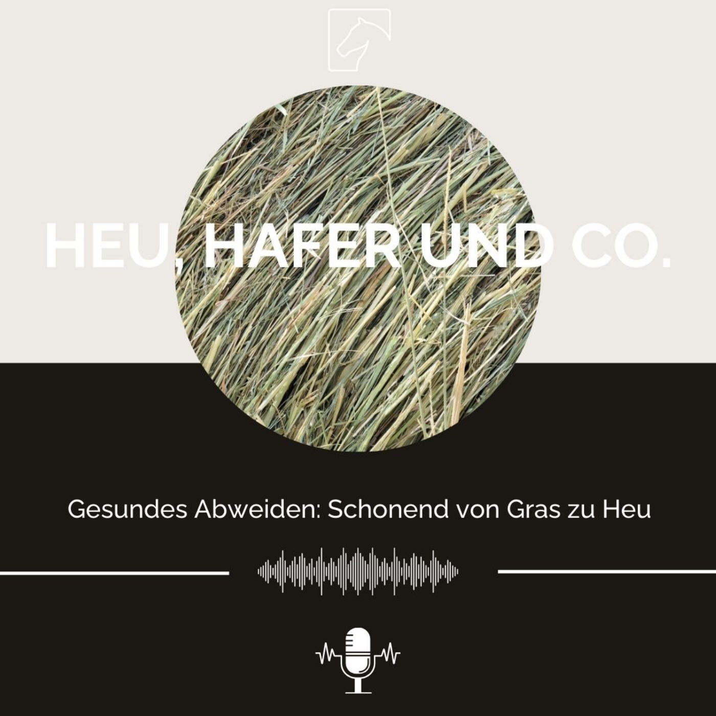 Heu, Hafer & Co: Der Pferdefutter-Podcast