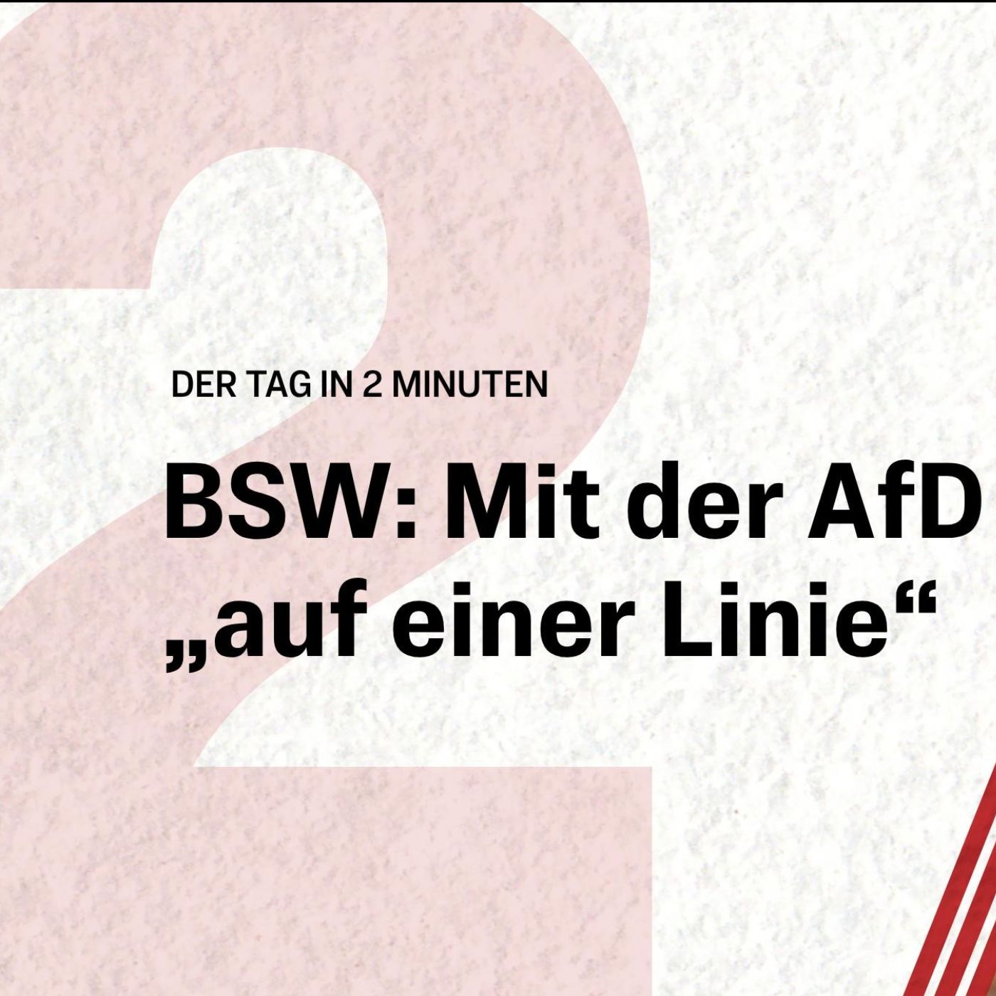 BSW-Spitzenkandidat deutet Zusammenarbeit mit AfD an | Der Tag in 2 Minuten