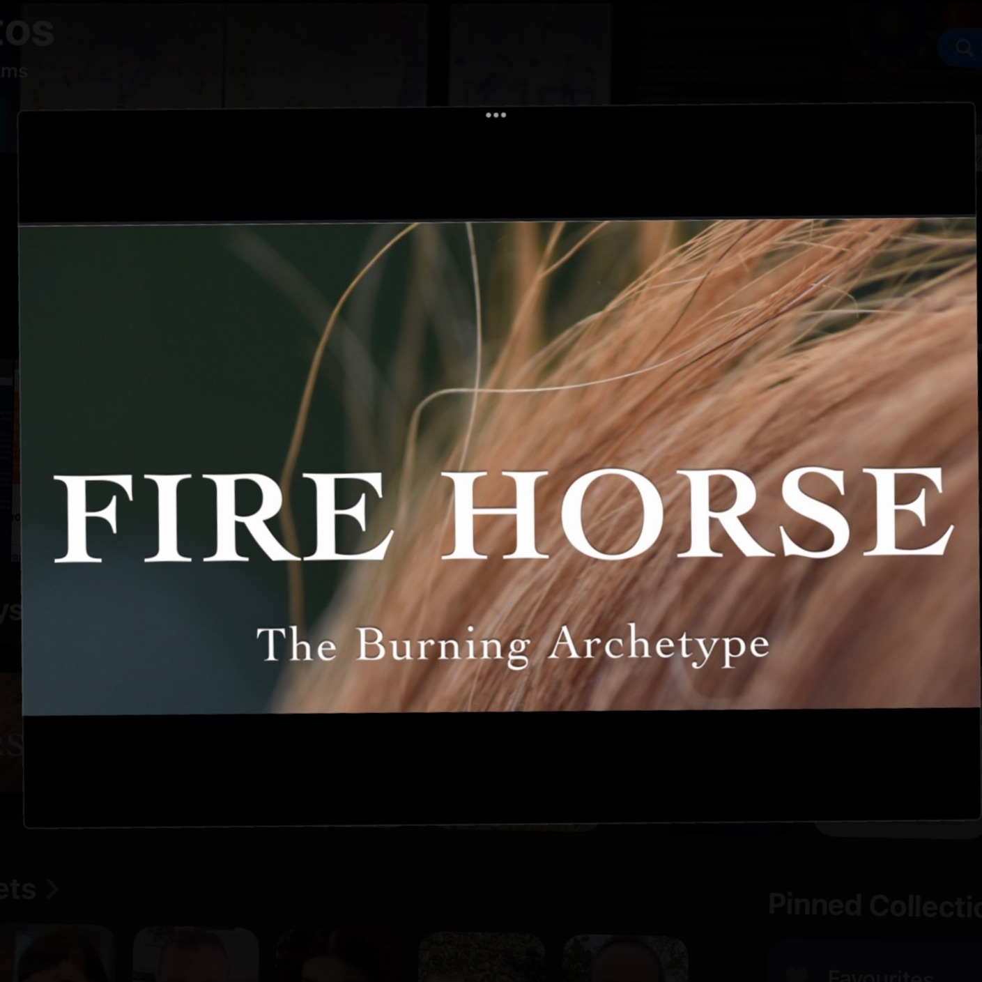 Fire Horse - The Burning Archetype cover art