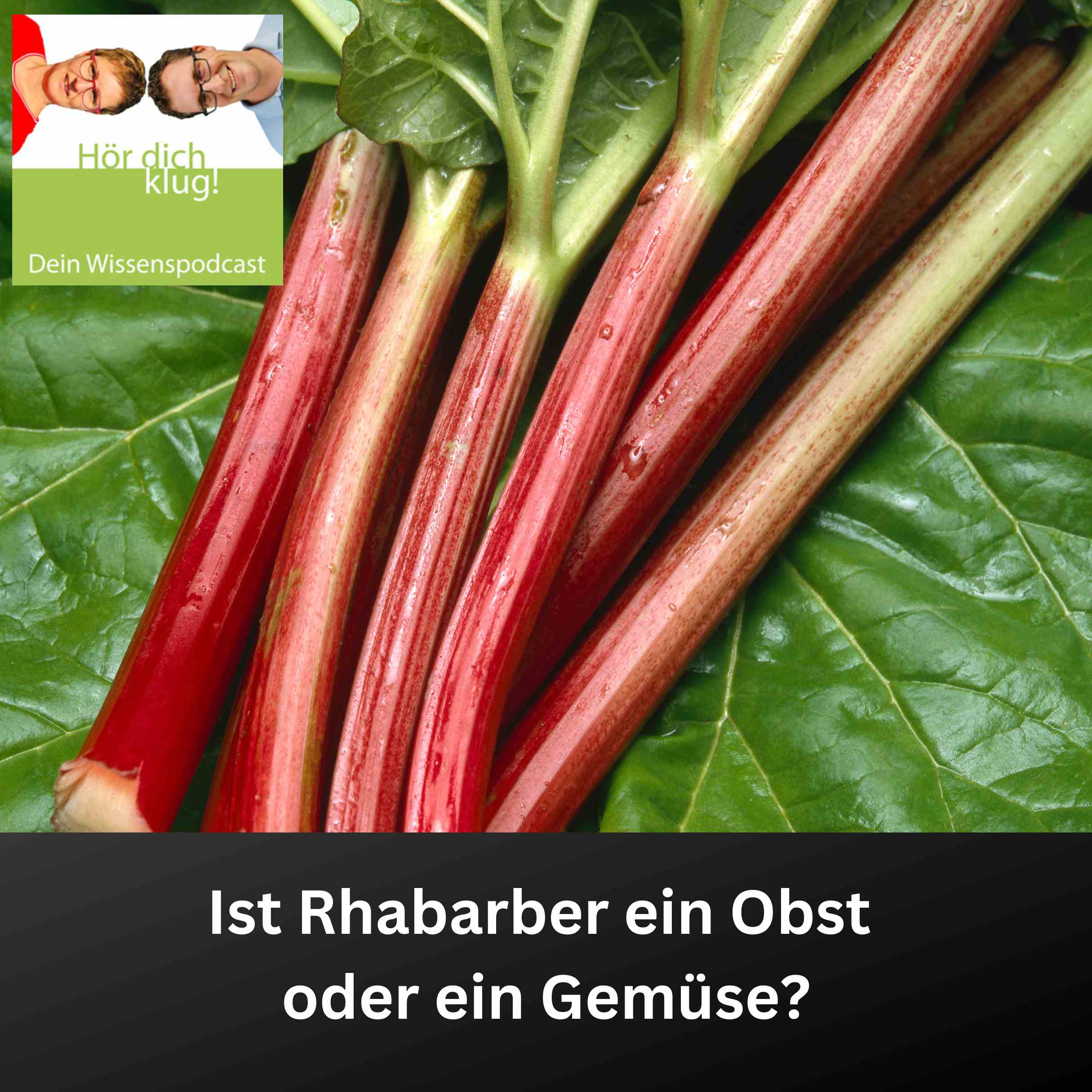 Hör dich klug! - Dein Wissenspodcast