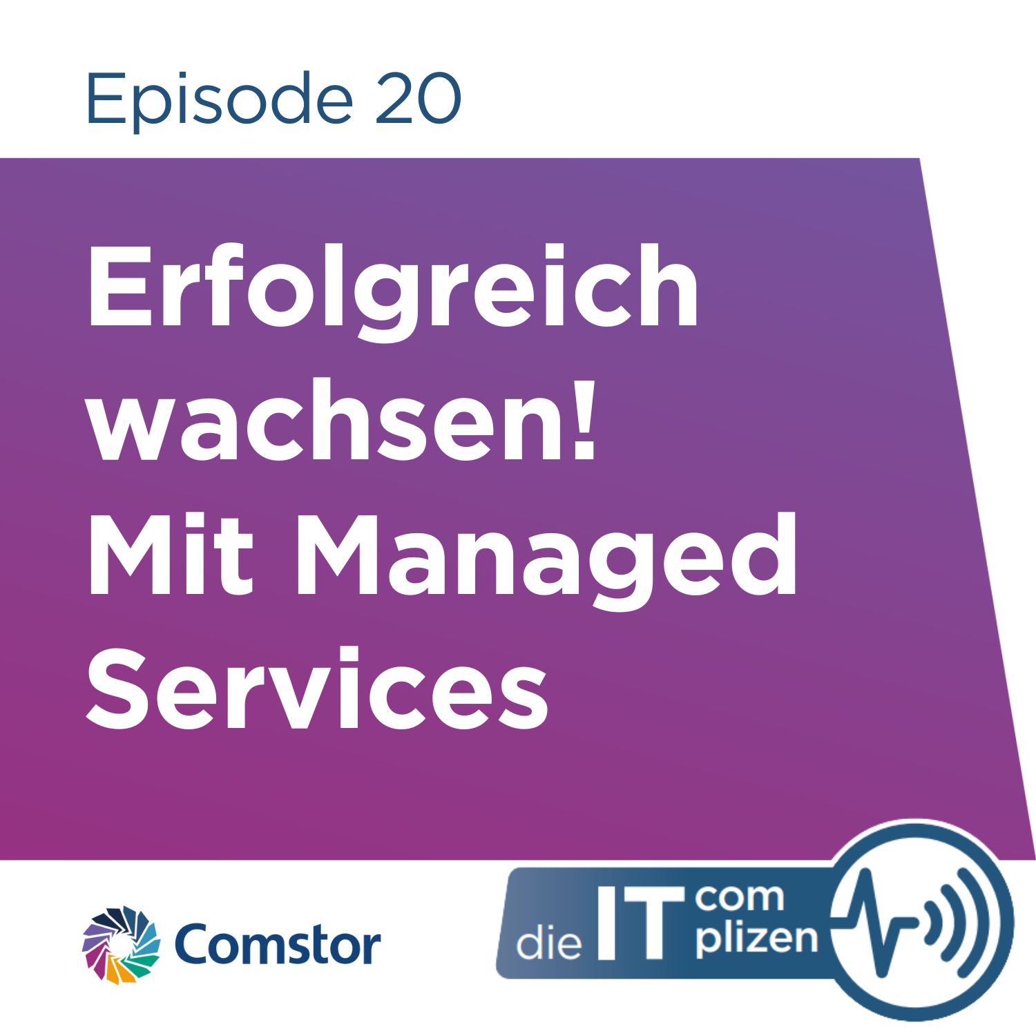 Comstor - Die IT Complizen