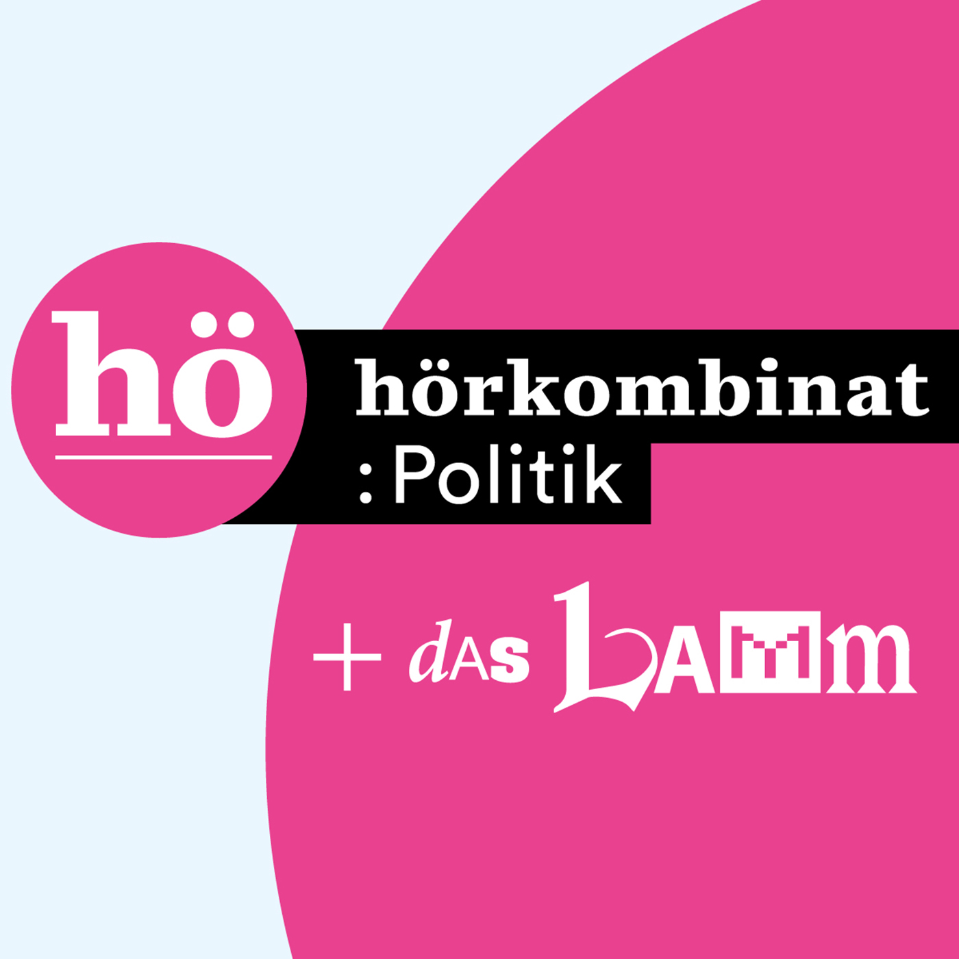 Hörkombinat :Politik
