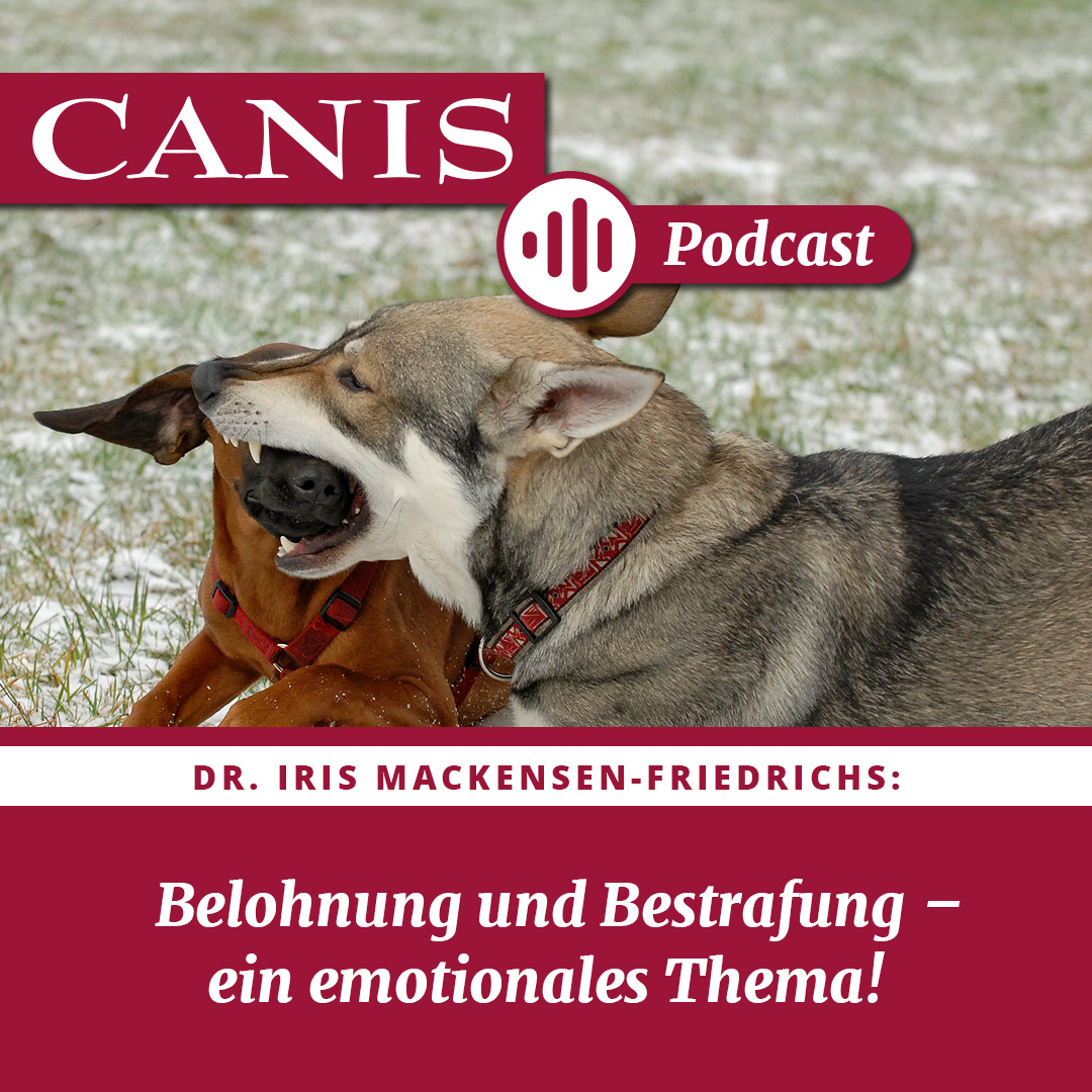 Der CANIS-Podcast – Hundeexpert:innen ausgefragt
