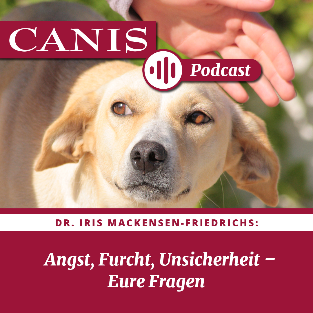 Der CANIS-Podcast – Hundeexpert:innen ausgefragt