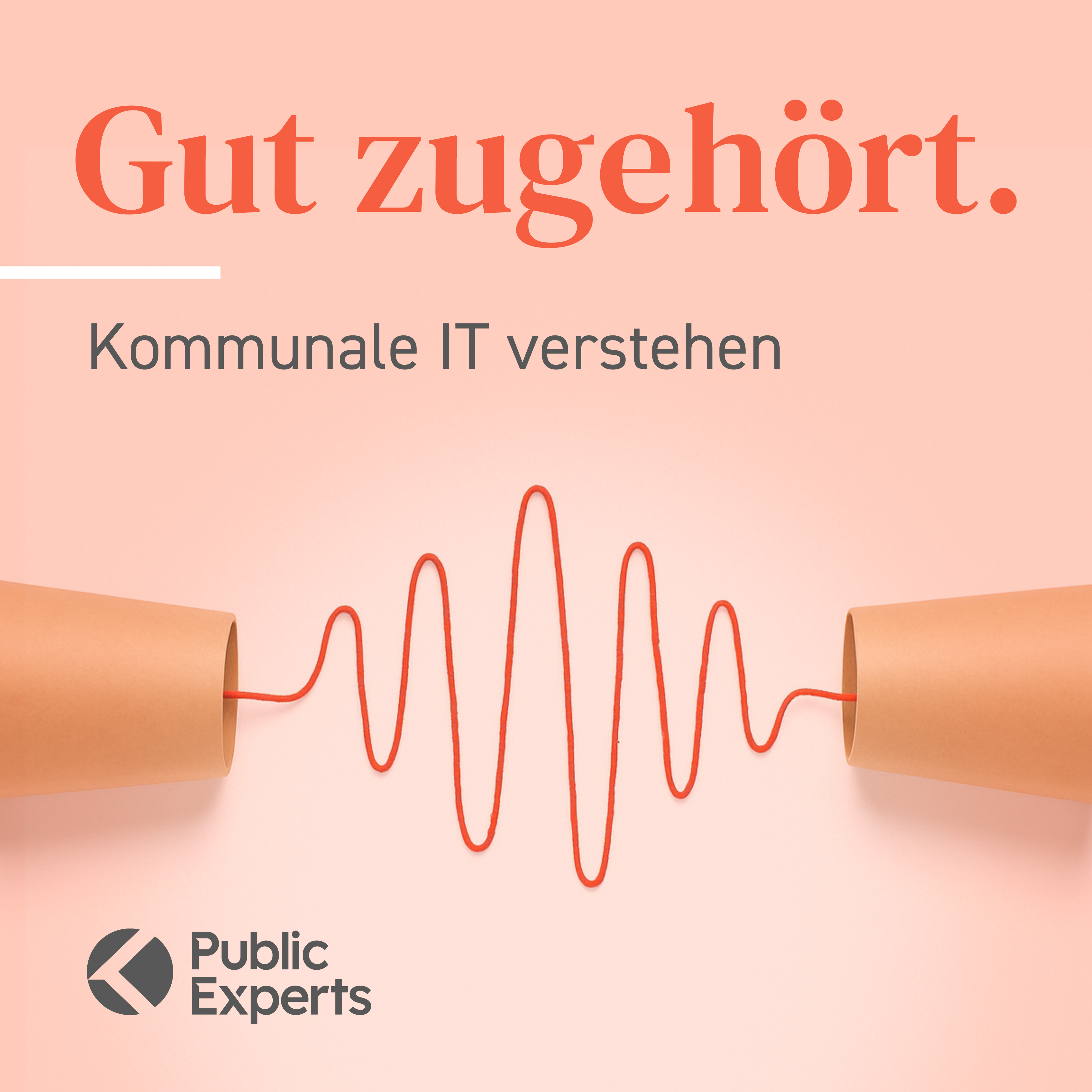 Registermodernisierung - Eine Frage der Demokratie episode artwork