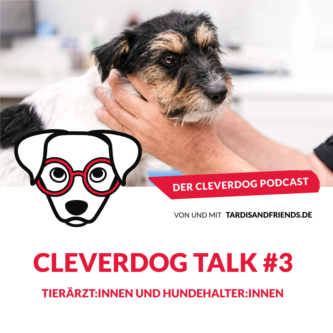 Der Cleverdog Podcast – mehr Wissen rund um den Hund!
