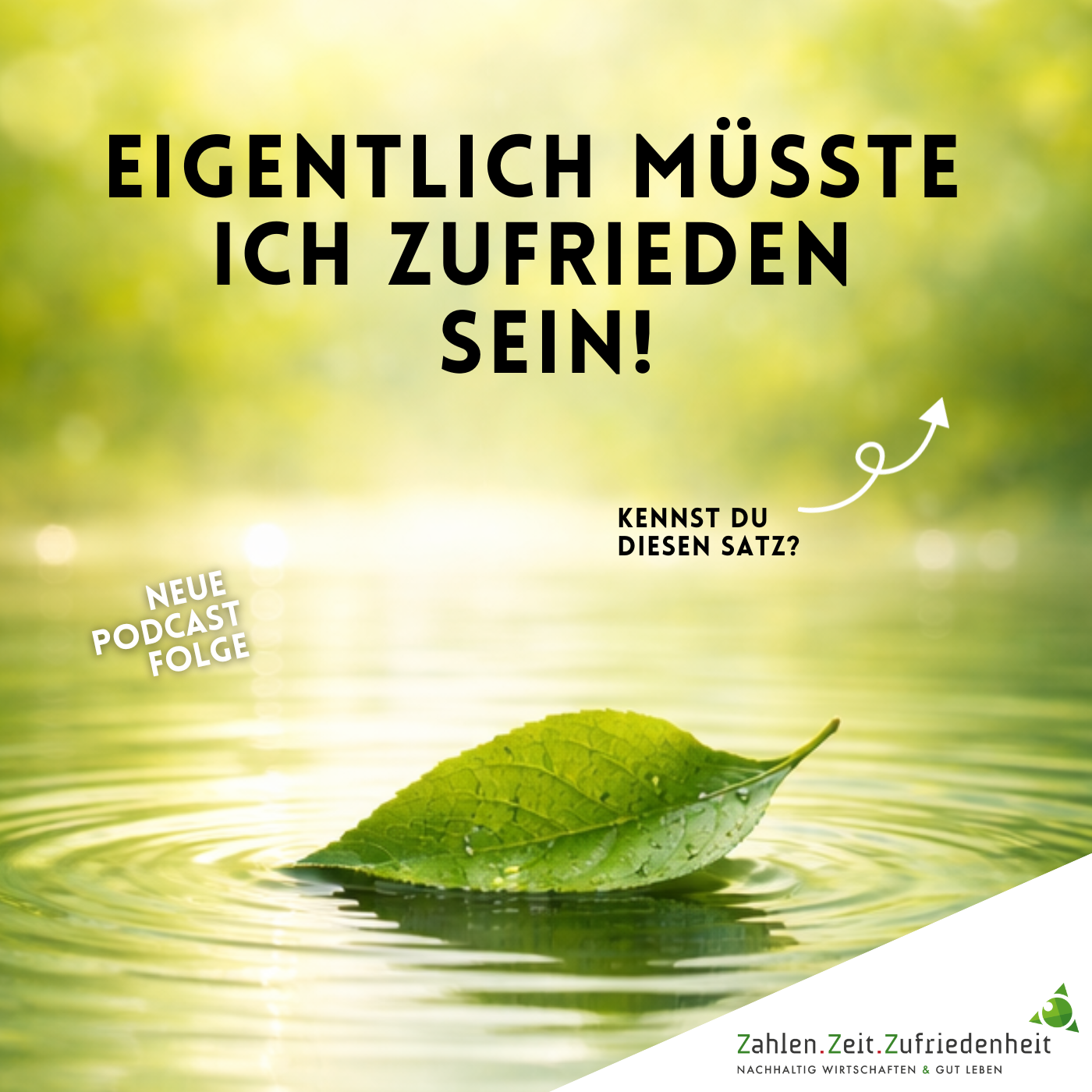 Warum Erfolg dich nicht automatisch zufrieden macht episode artwork