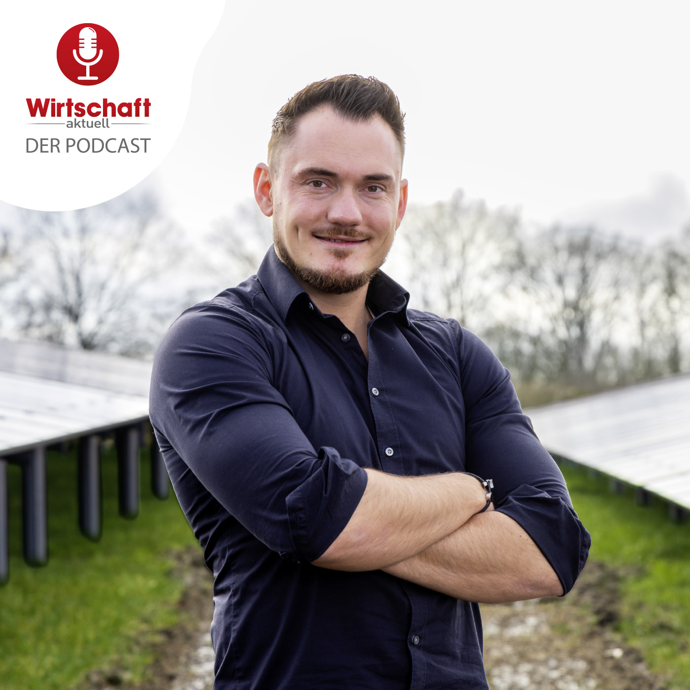 Strom clever nutzen: Wie Batteriespeicher Unternehmen helfen – mit Heiko Gehlen (B&W Energy) episode artwork