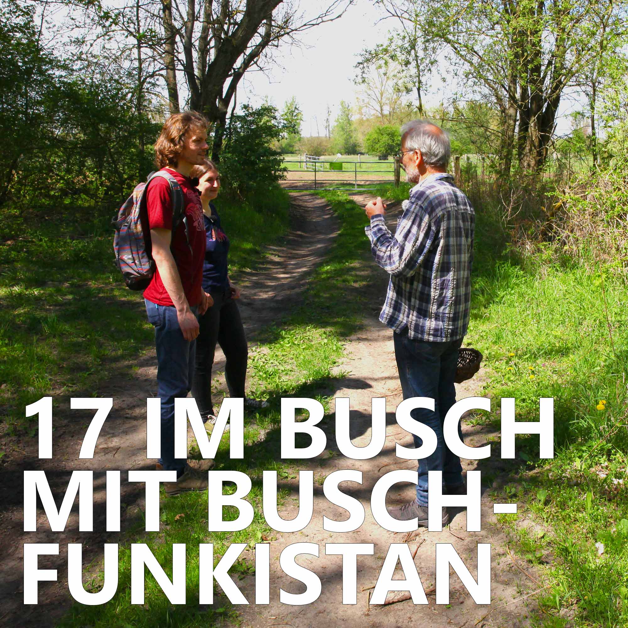 Der Pilzpodcast