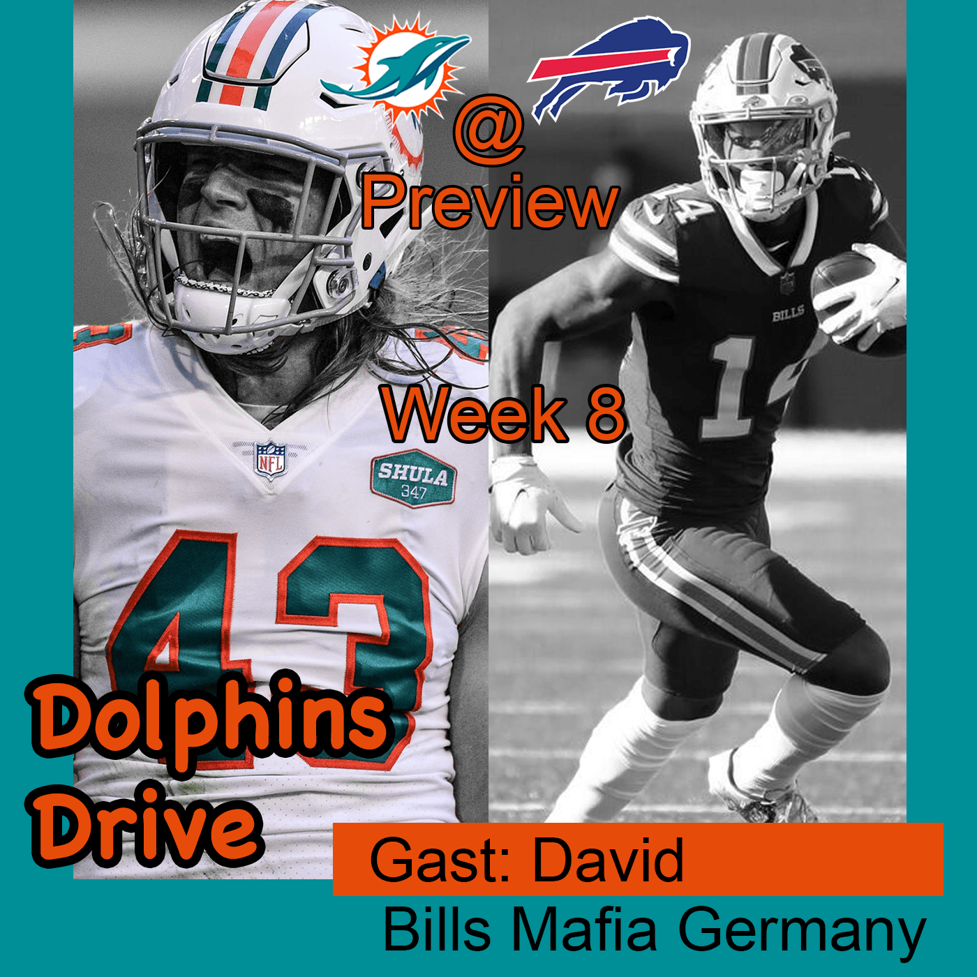 Dolphins Drive
