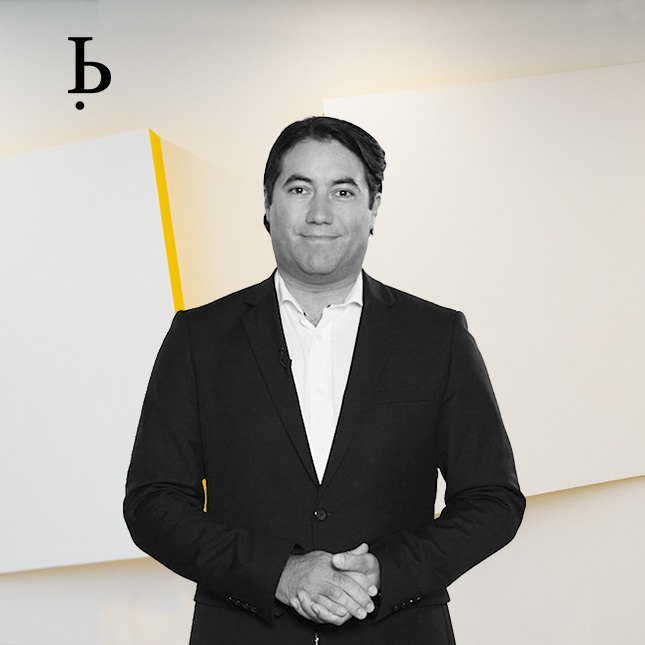 BARDEHLE IP Experts