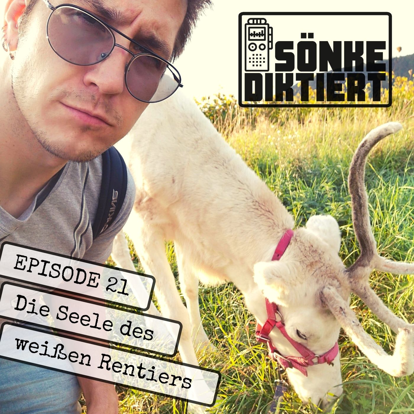 Sönke Diktiert