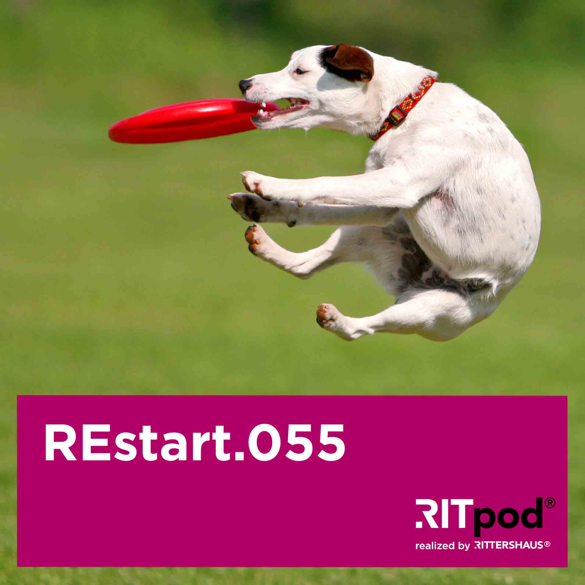 REstart - Legal Insights zur Sanierung von Unternehmen