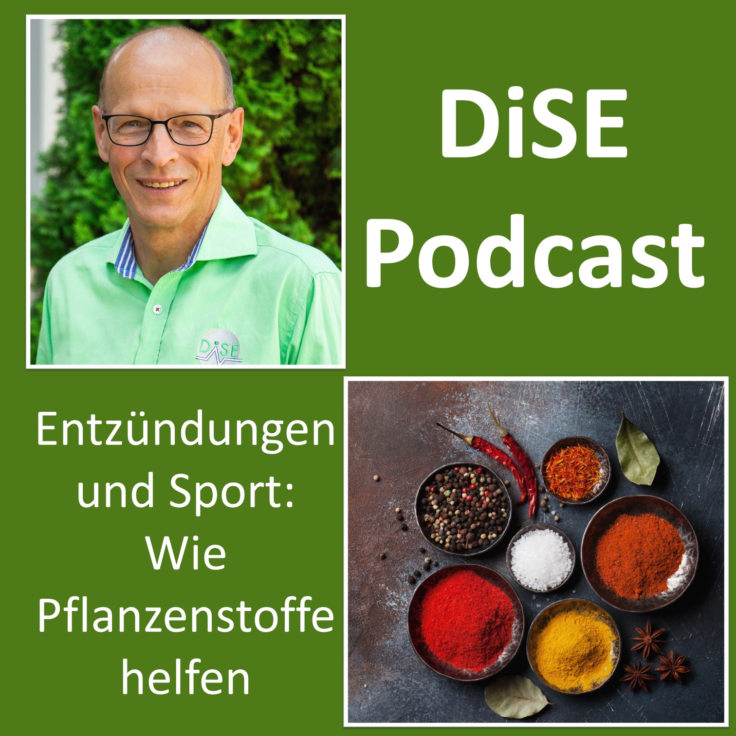 Deutsches Institut für Sporternährung e.V. (DiSE) Podcast