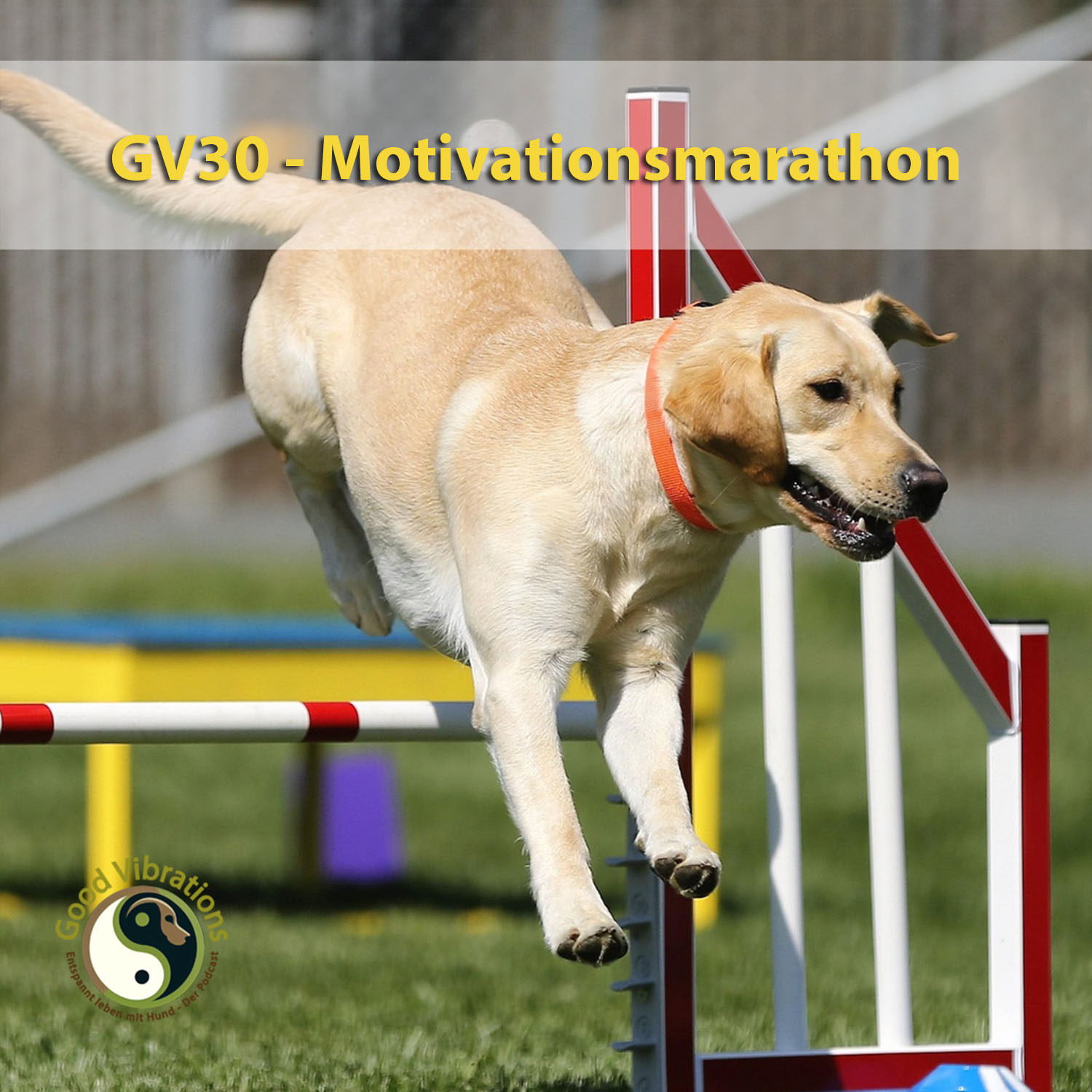 Good Vibrations. Entspannt leben mit Hunden. Der Podcast.