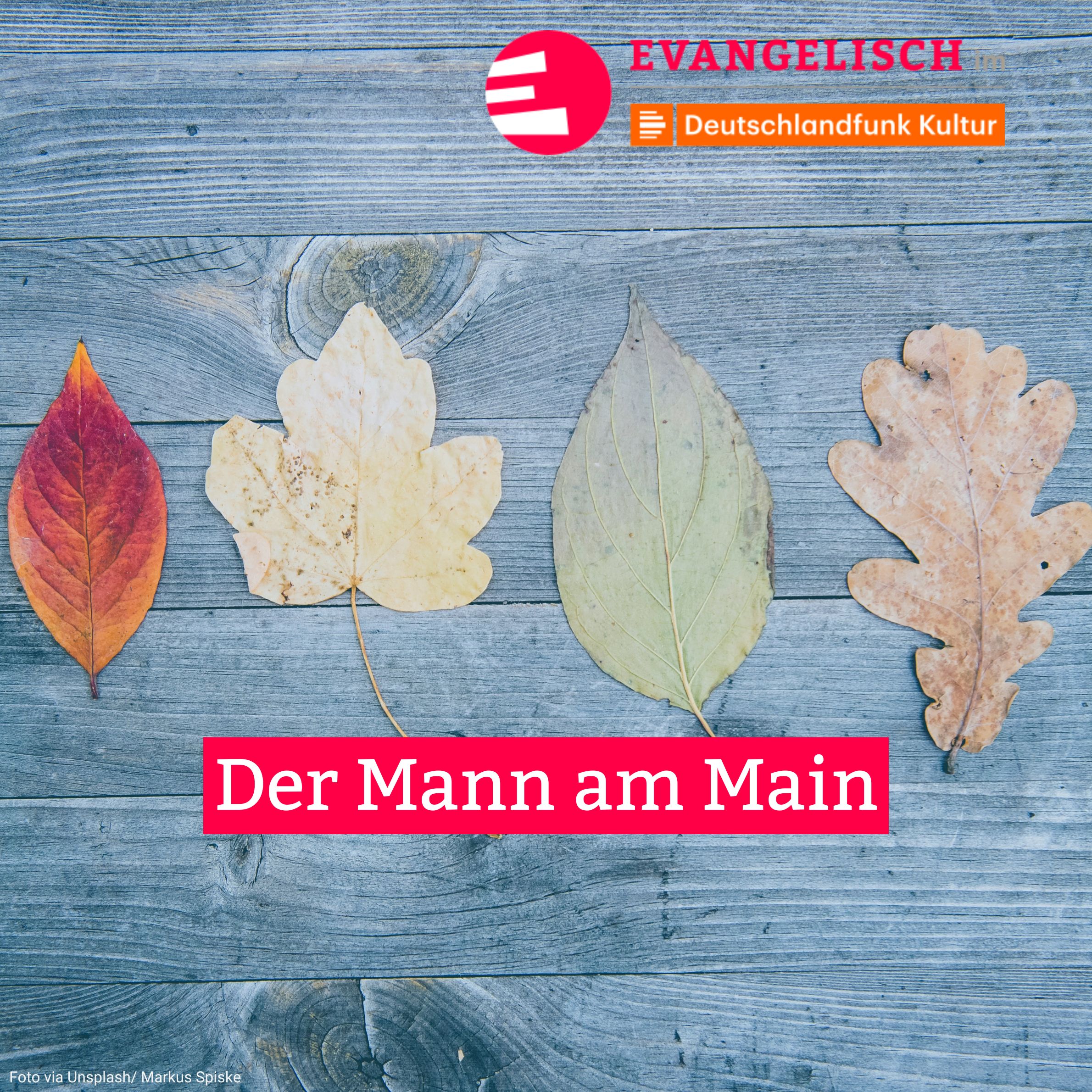 Der Mann am Main