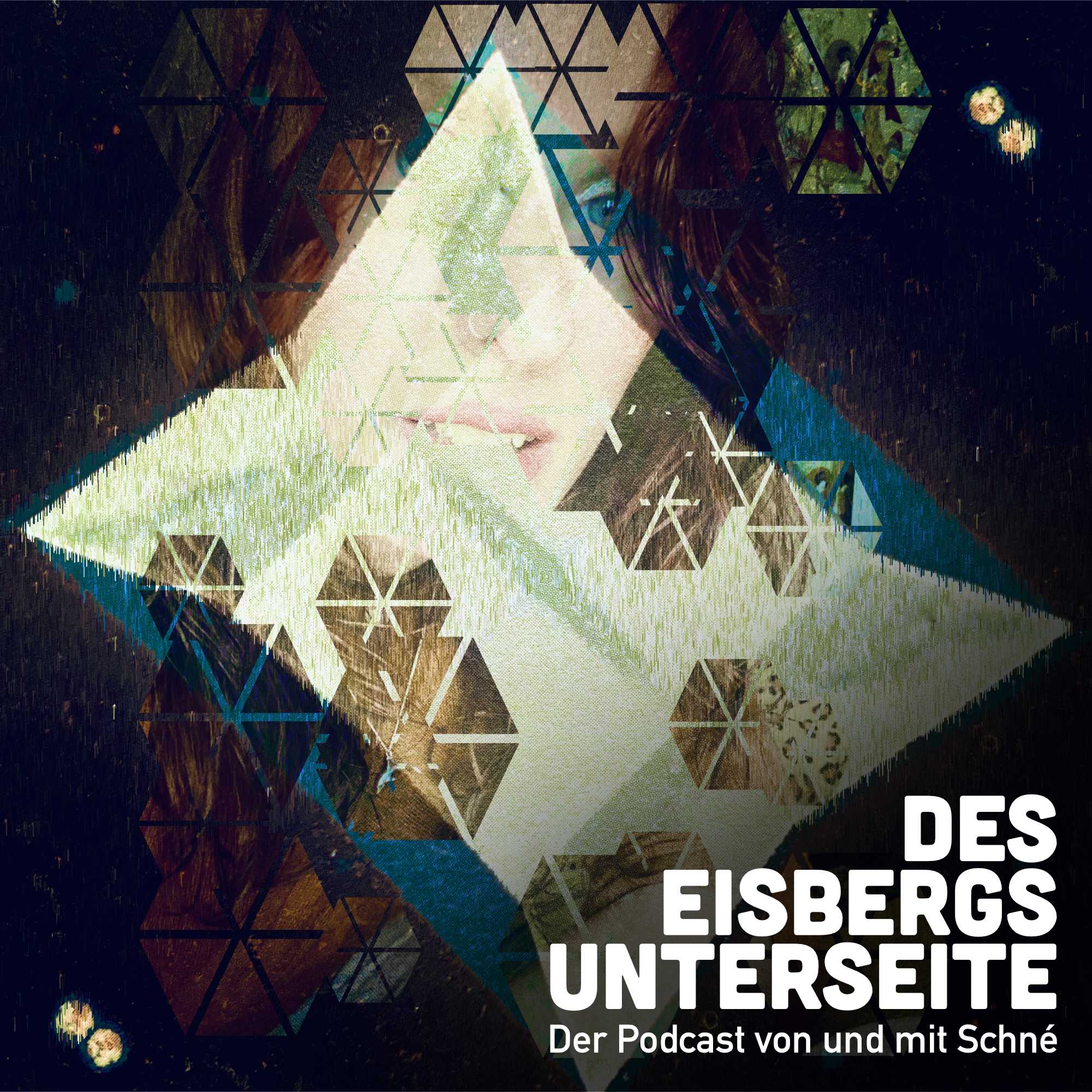 Des Eisbergs Unterseite - Der podcast von und mit Schné