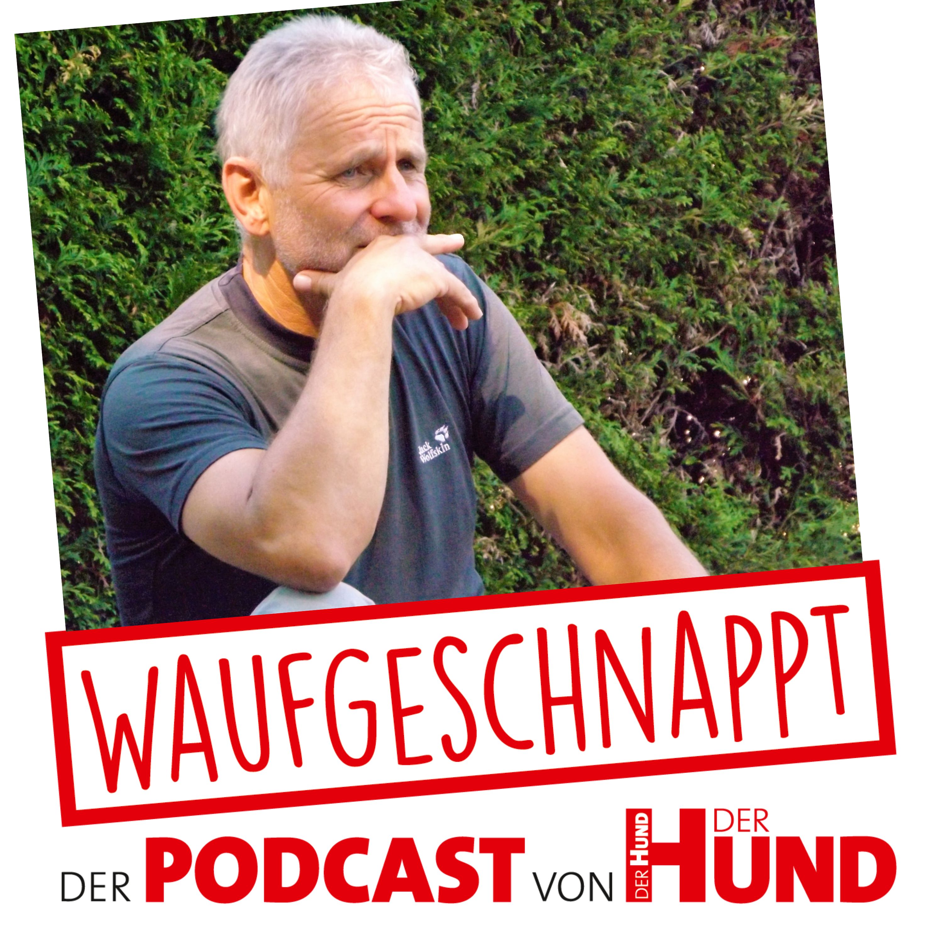 Waufgeschnappt - der Podcast von DER HUND
