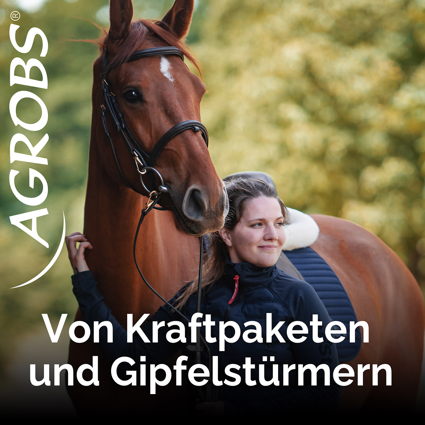 Von Kraftpaketen und Gipfelstürmern: Der Reitsport Podcast
