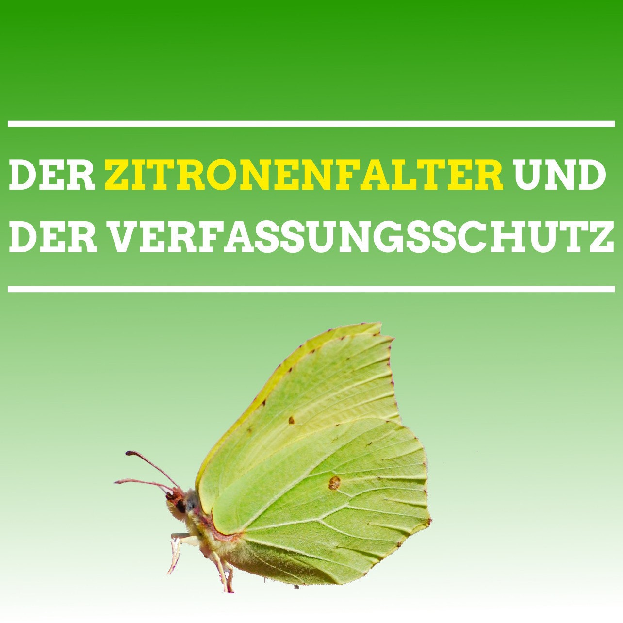 Zwischenrufe – Der grüne Politikpodcast aus Sachsen