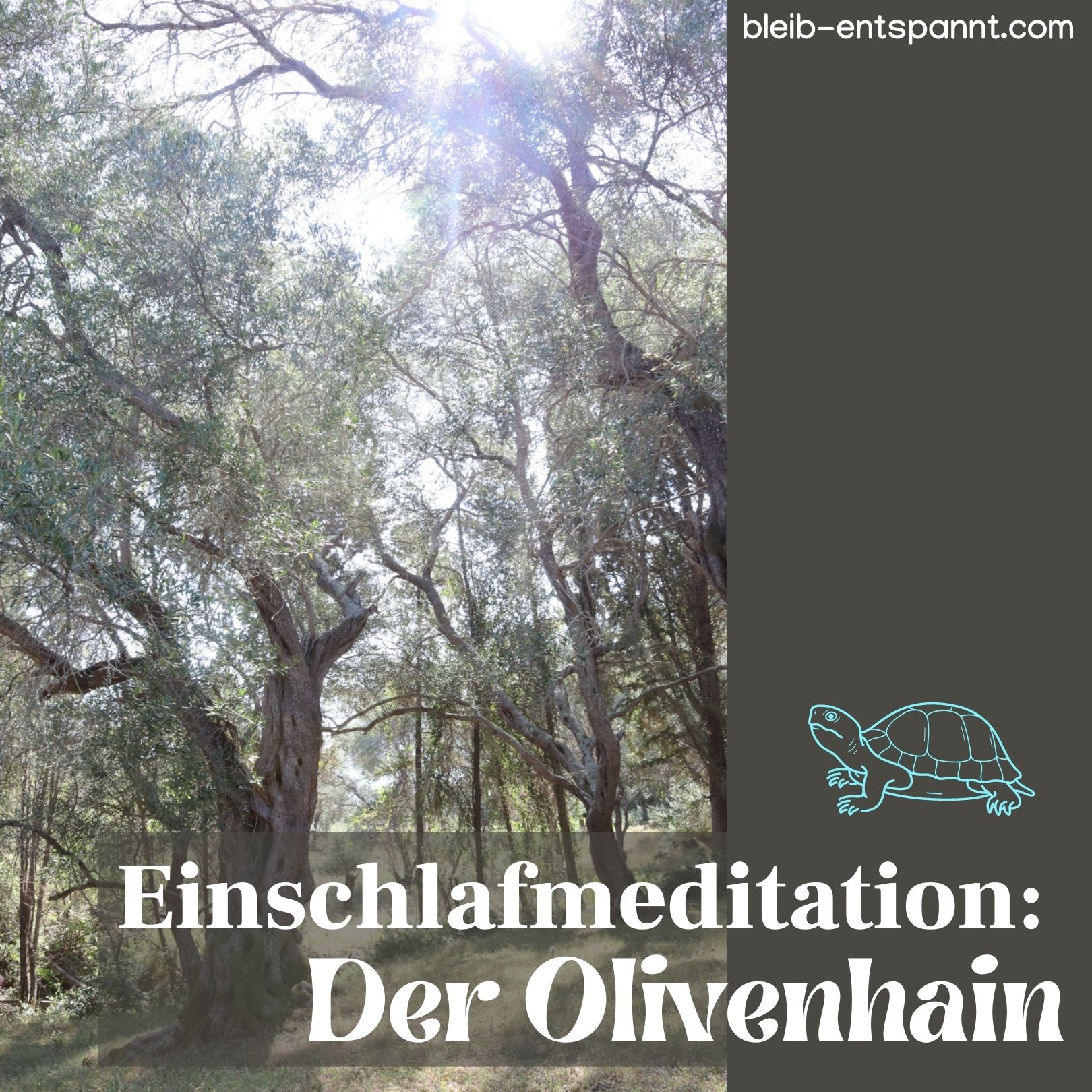 Bleib entspannt! Der Meditations-Podcast - magische Momente für Kinder & Eltern
