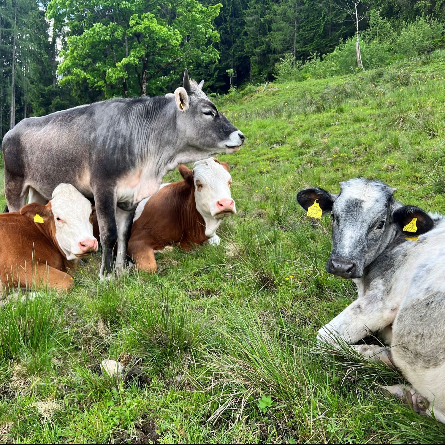 AGRAR SCIENCE - Wissen kompakt