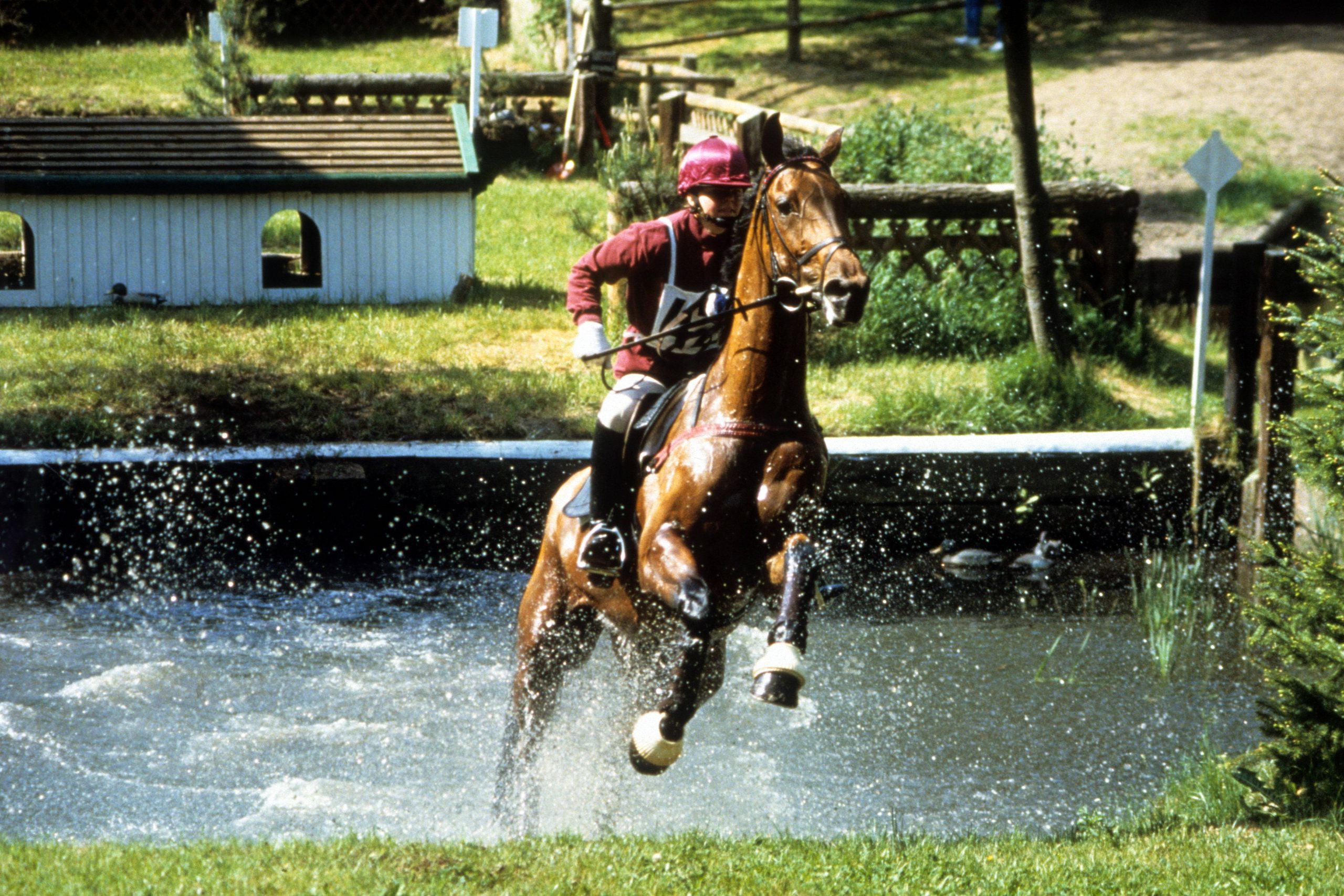 Julis Eventer Podcast