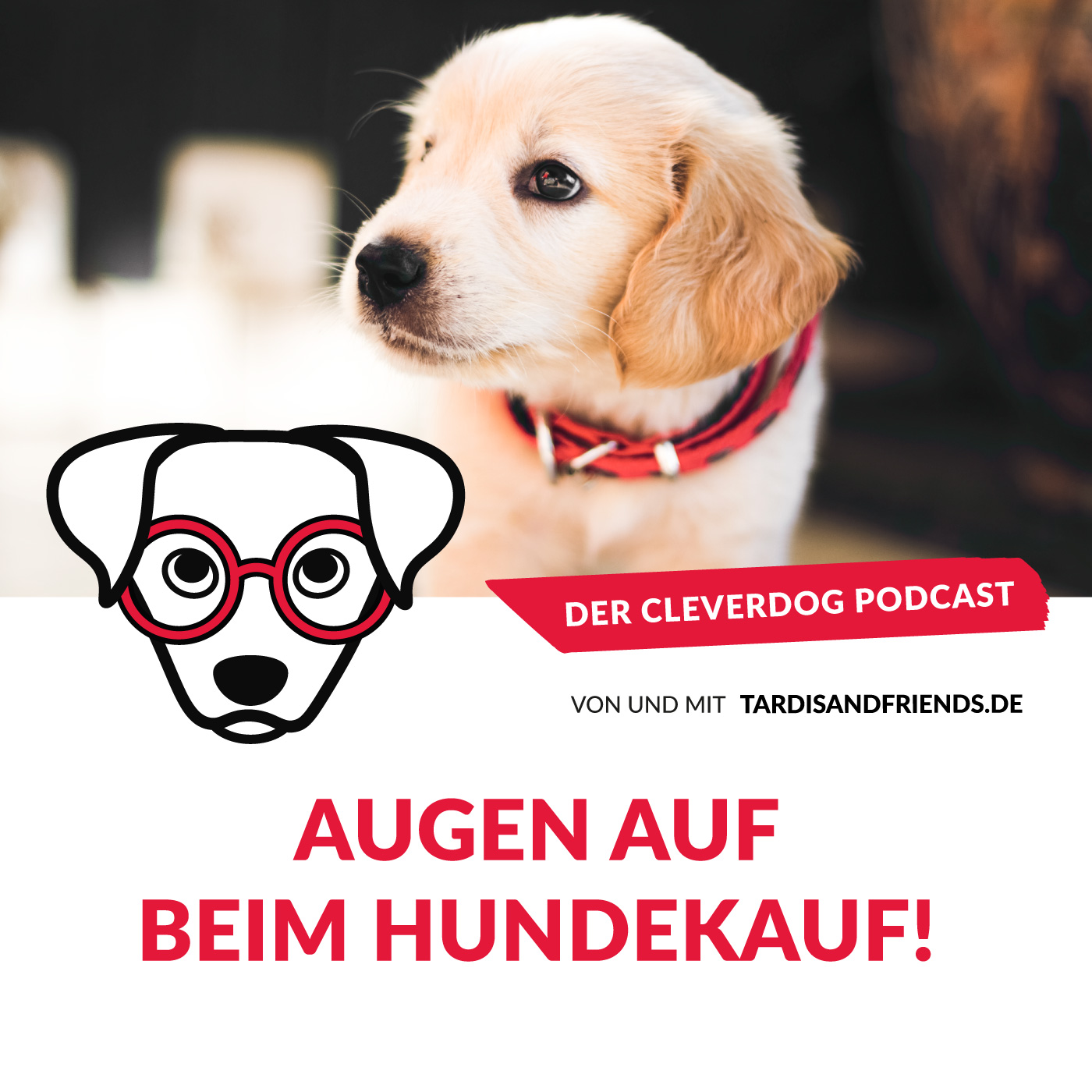 Der Cleverdog Podcast – mehr Wissen rund um den Hund!