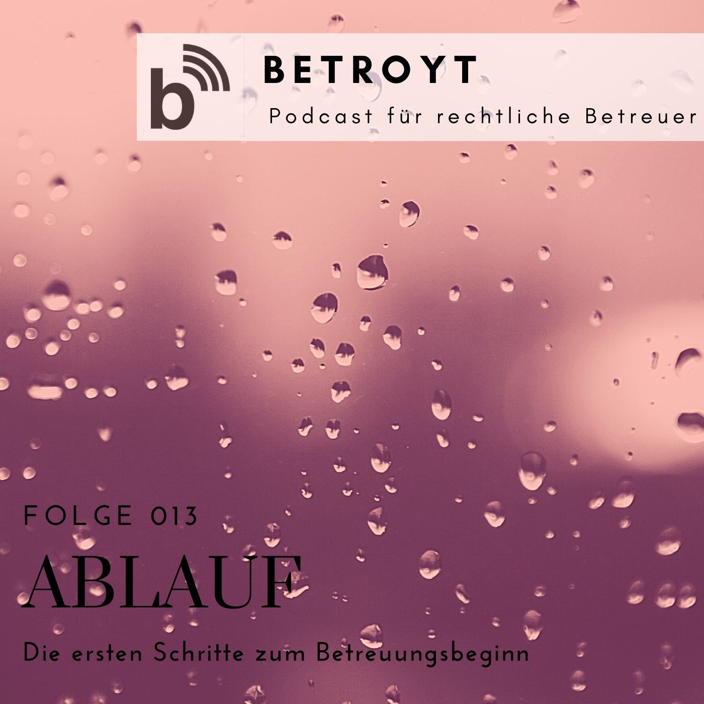 Folge 013 Ablauf - Die ersten Schritte zum Betreuungsbeginn