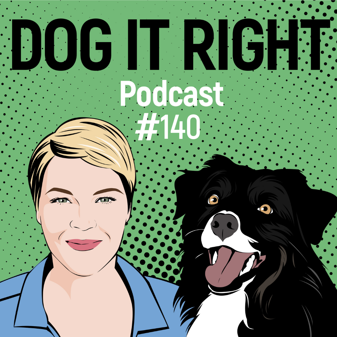 #140: Wenn dein Hund bei anderen Hunden nicht ansprechbar ist