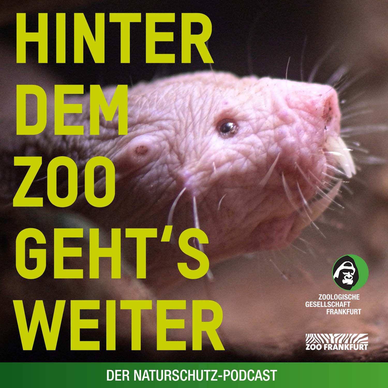 Hinter dem Zoo geht\'s weiter - Der Naturschutzpodcast aus Frankfurt