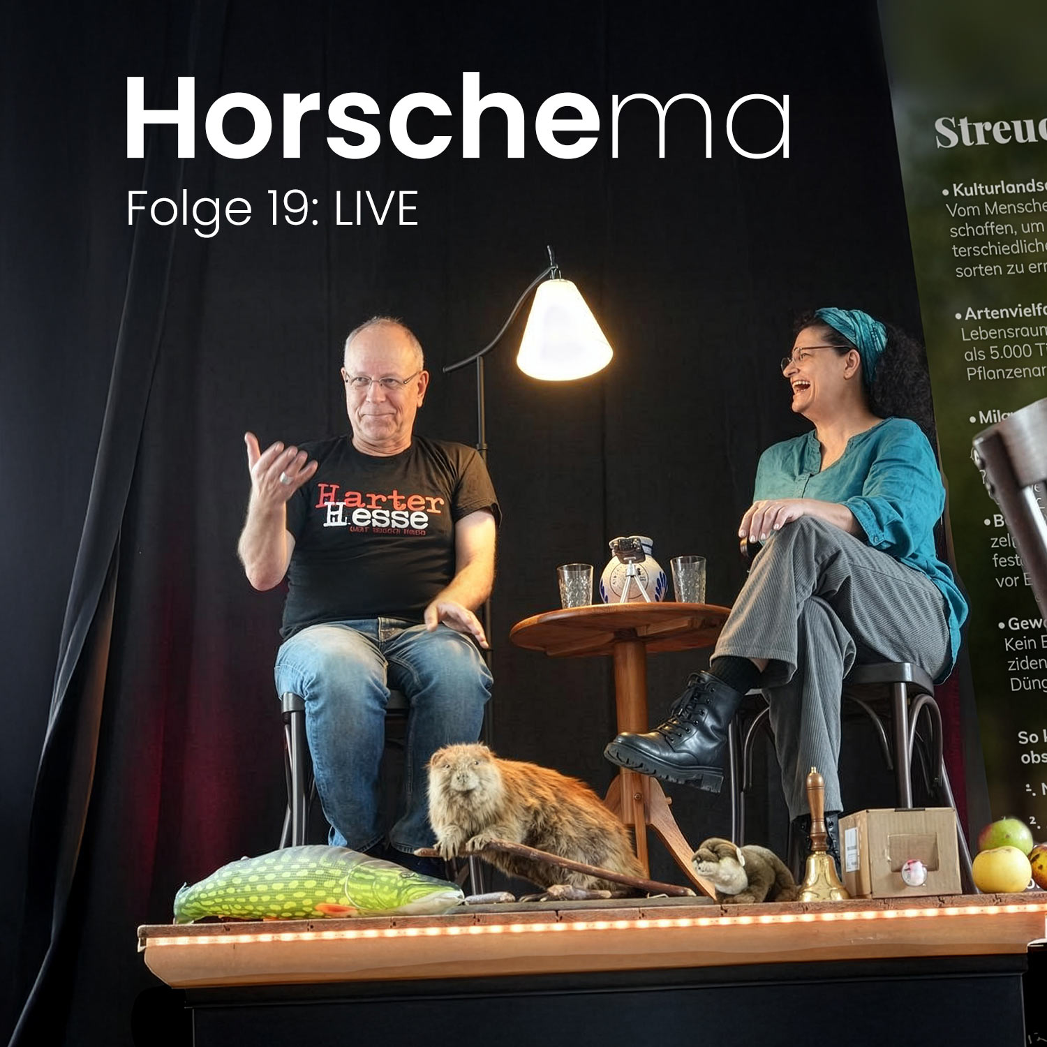 Horschema - Folge 19 - Live episode artwork