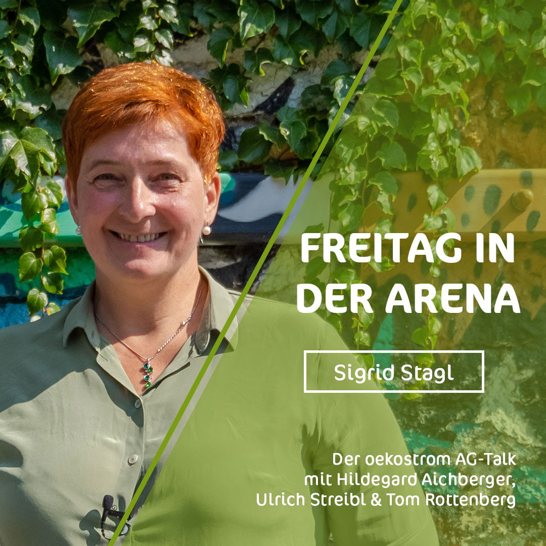 Freitag in der Arena - der oekostrom AG-Talk